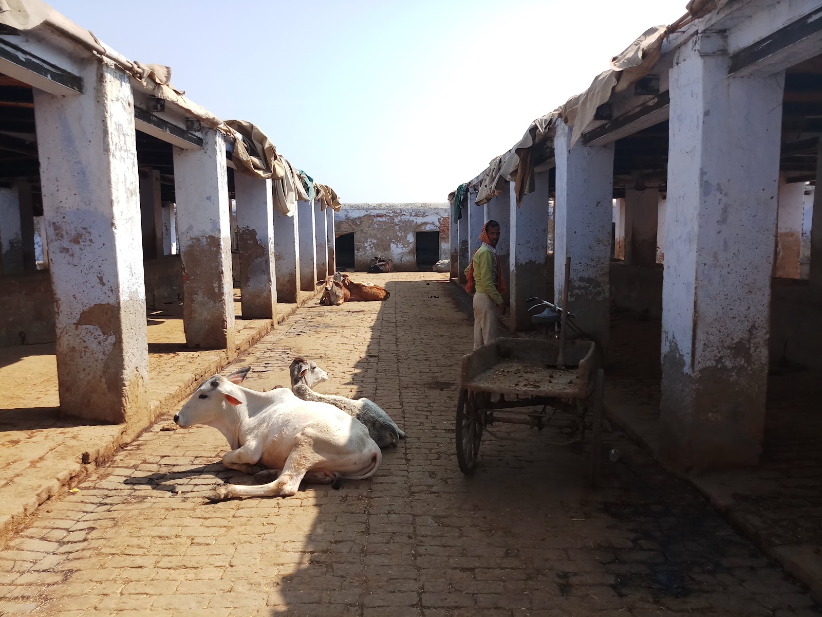 Chhatri of Raja Suraj Mal