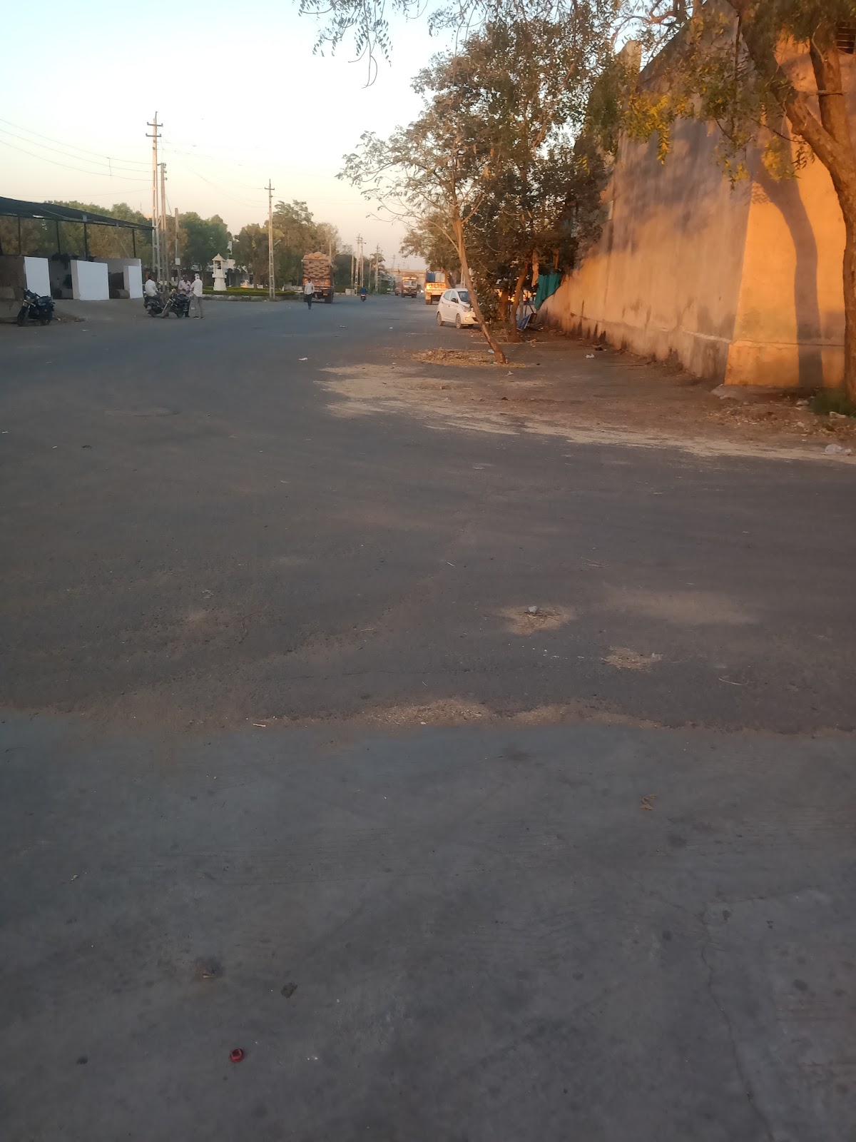 Deesa Central Market