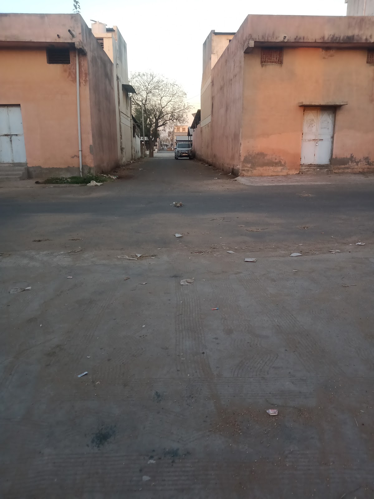 Deesa Central Market