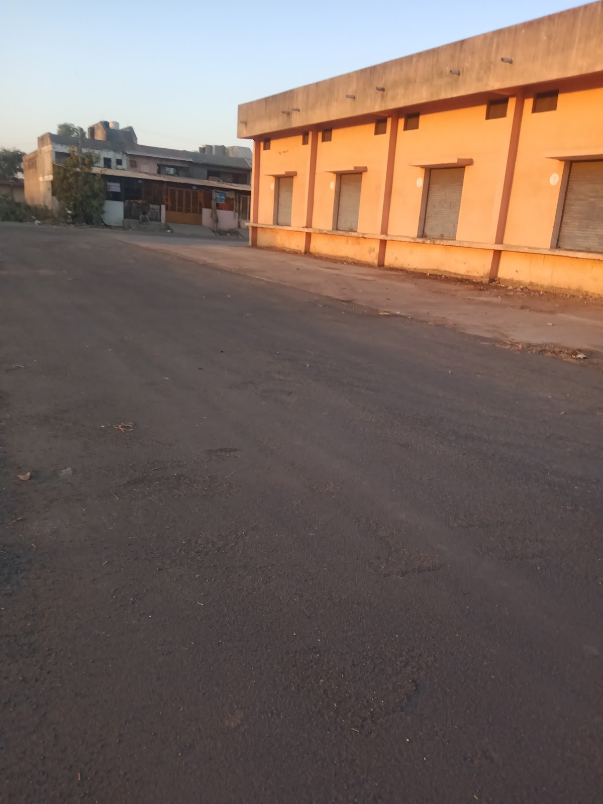 Deesa Central Market