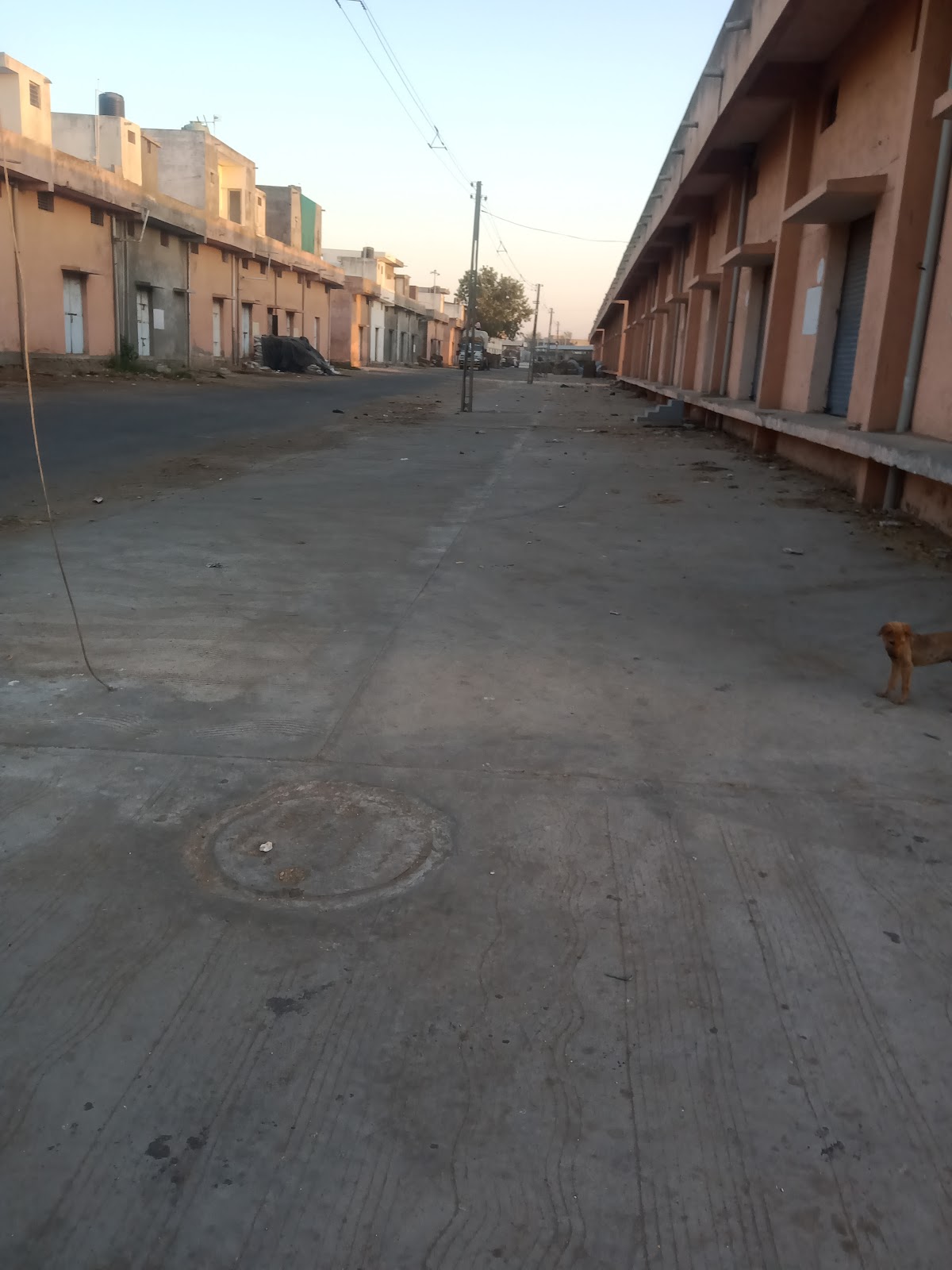 Deesa Central Market