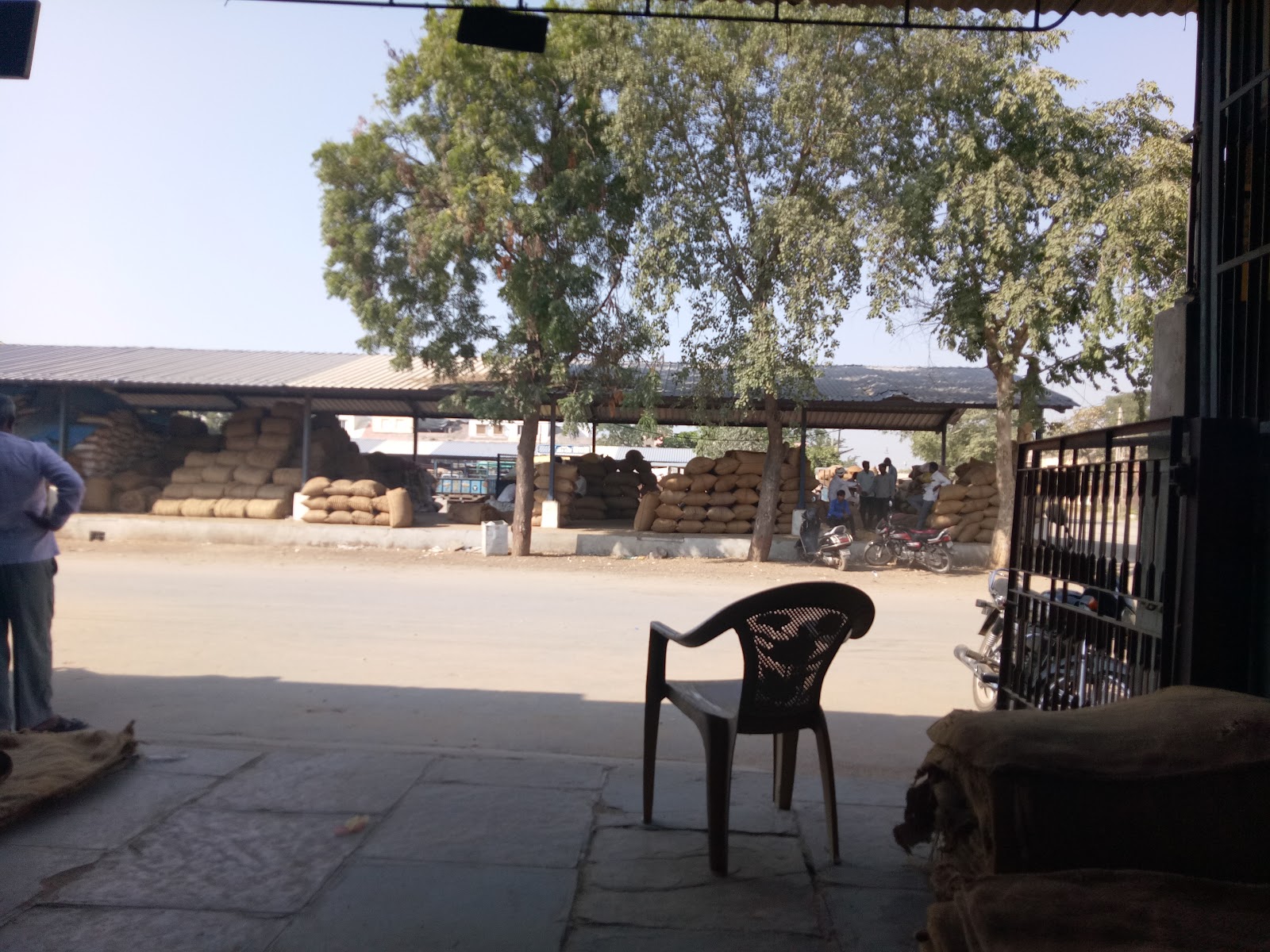 Weekly Cattle Market