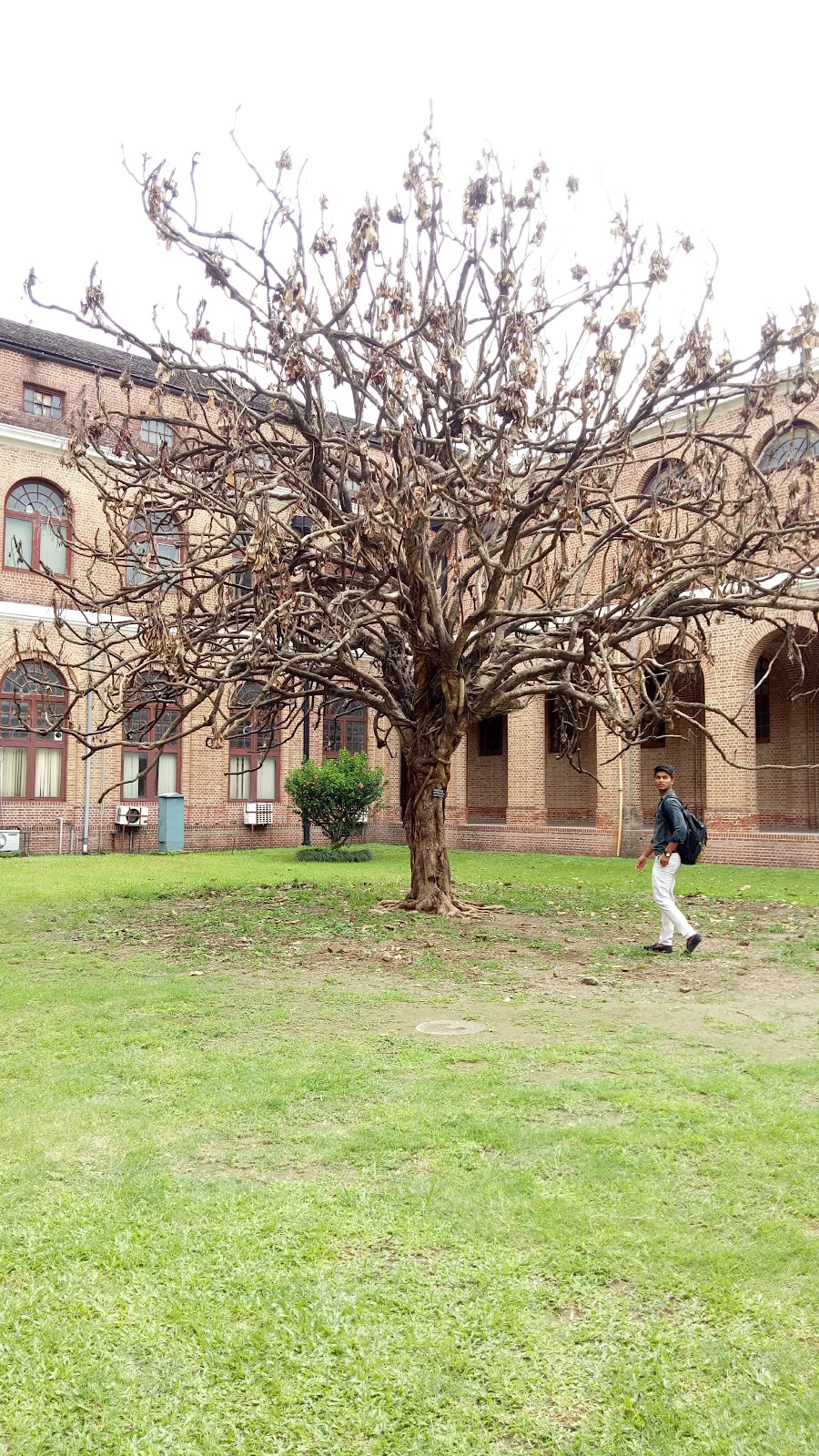 Forest Research Institute