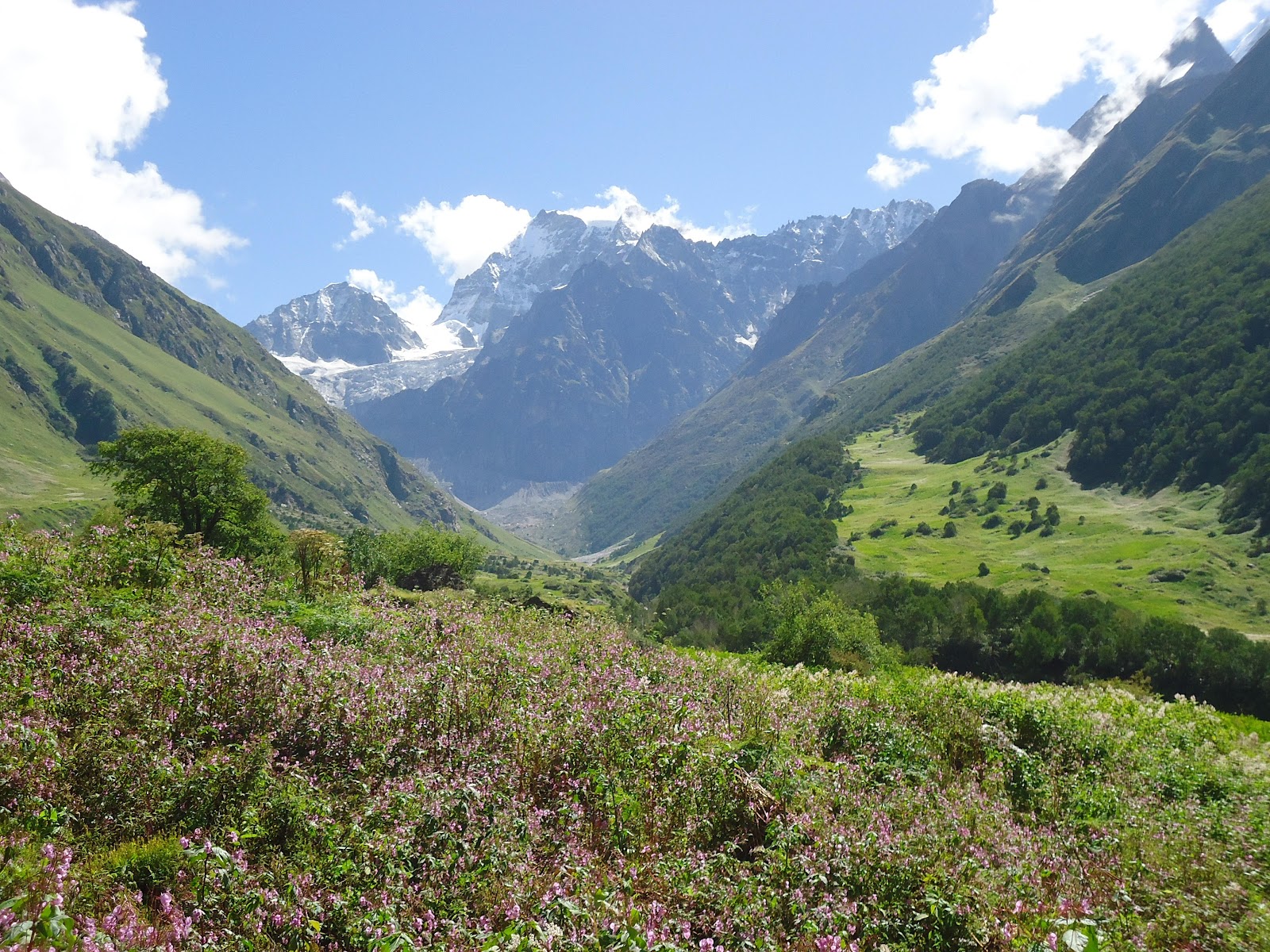 Nanda Devi National Park