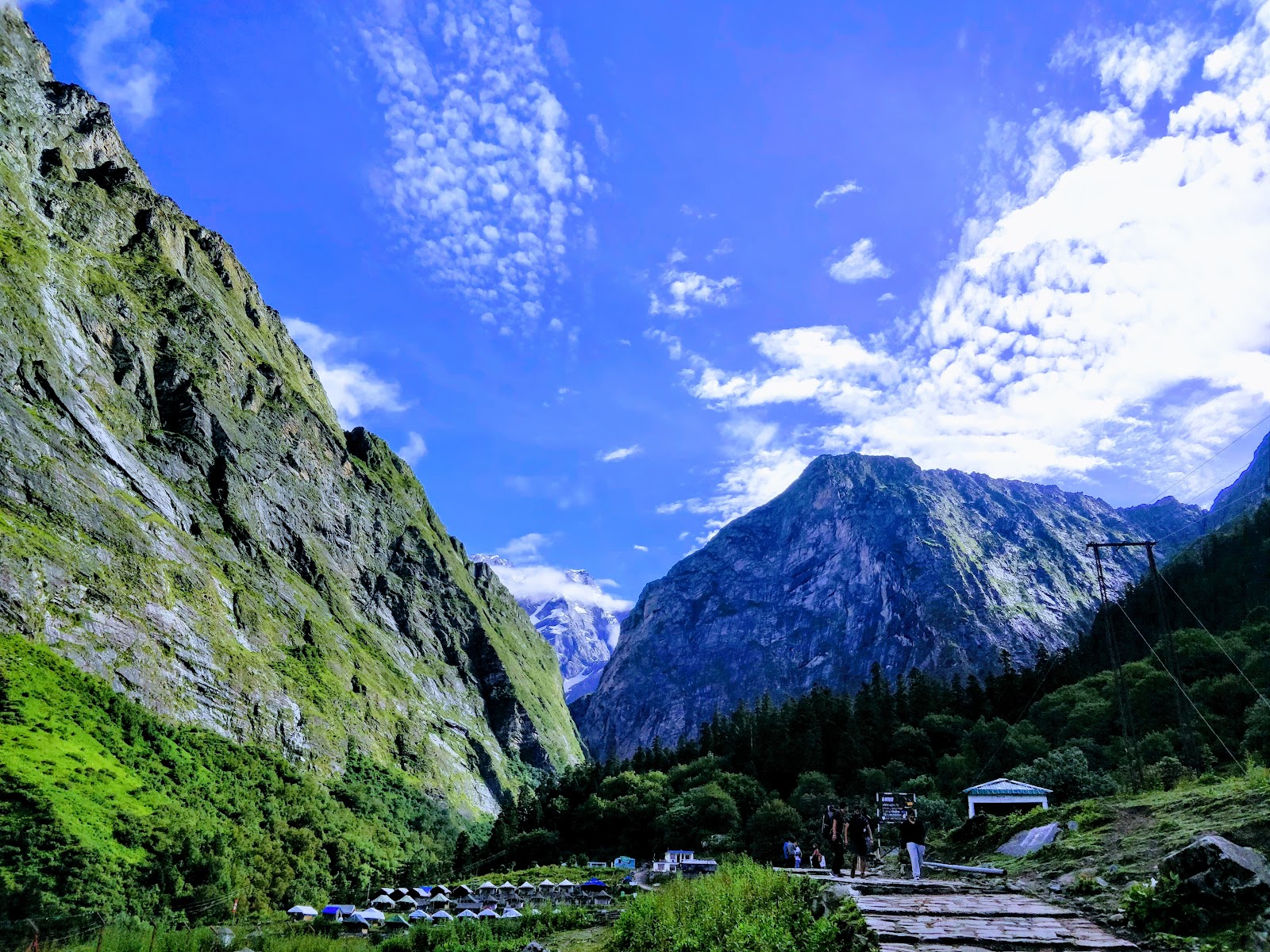 Nanda Devi National Park