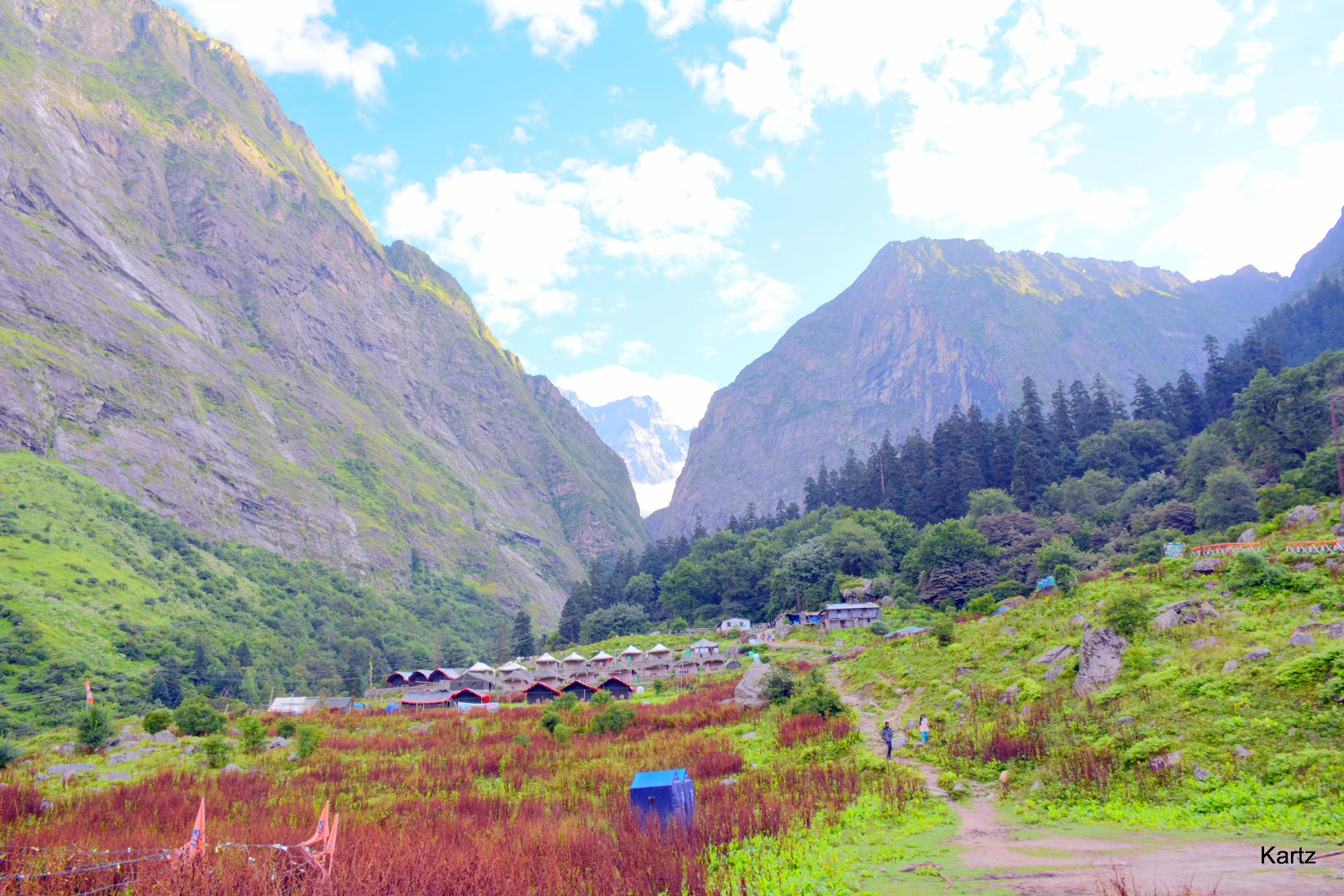 Nanda Devi National Park