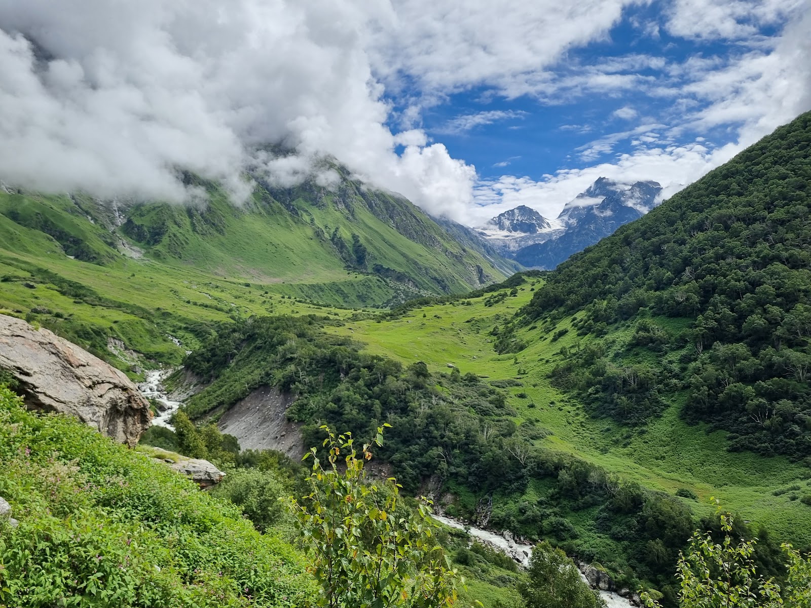 Valley of Flowers