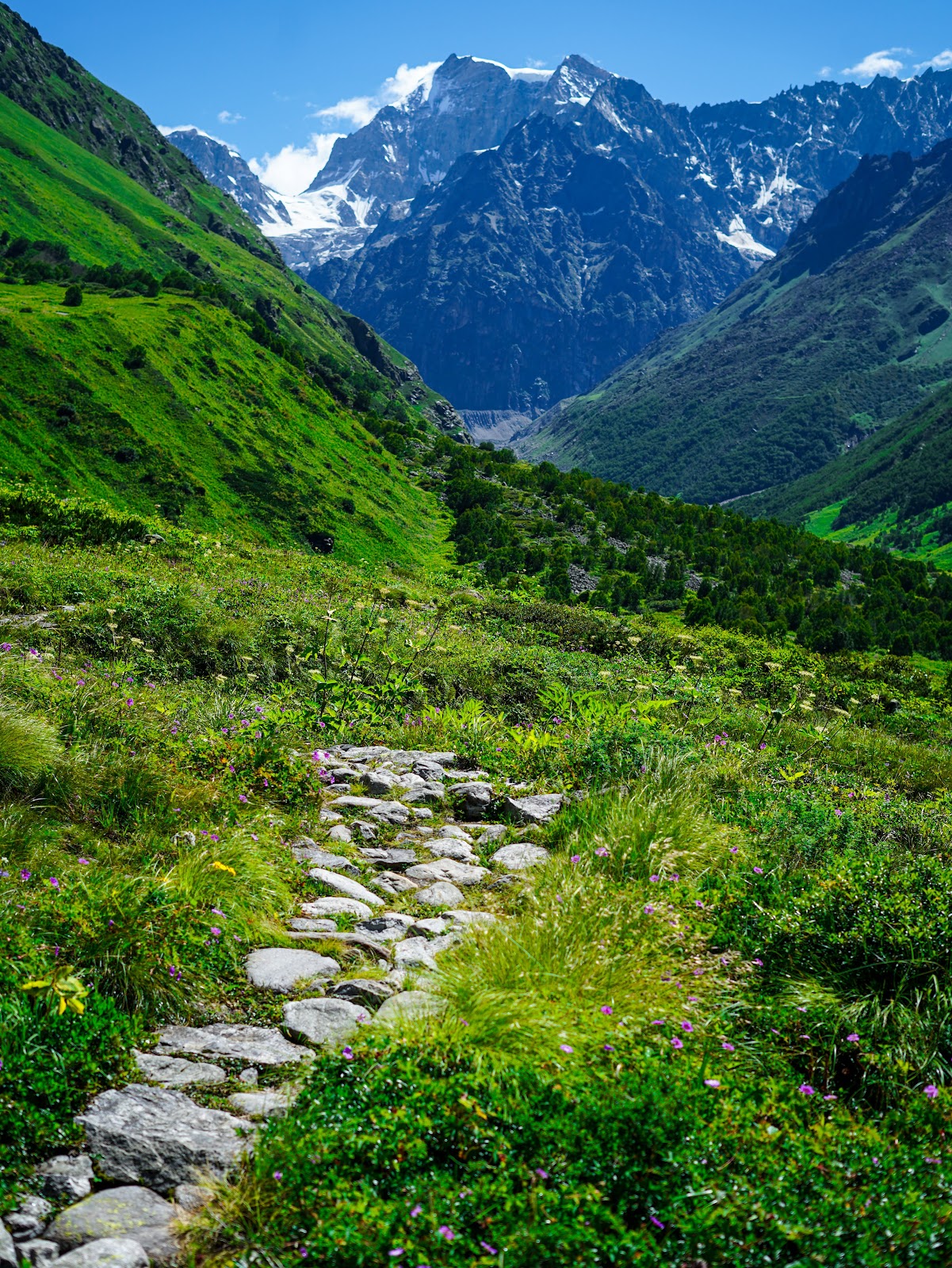 Valley of Flowers