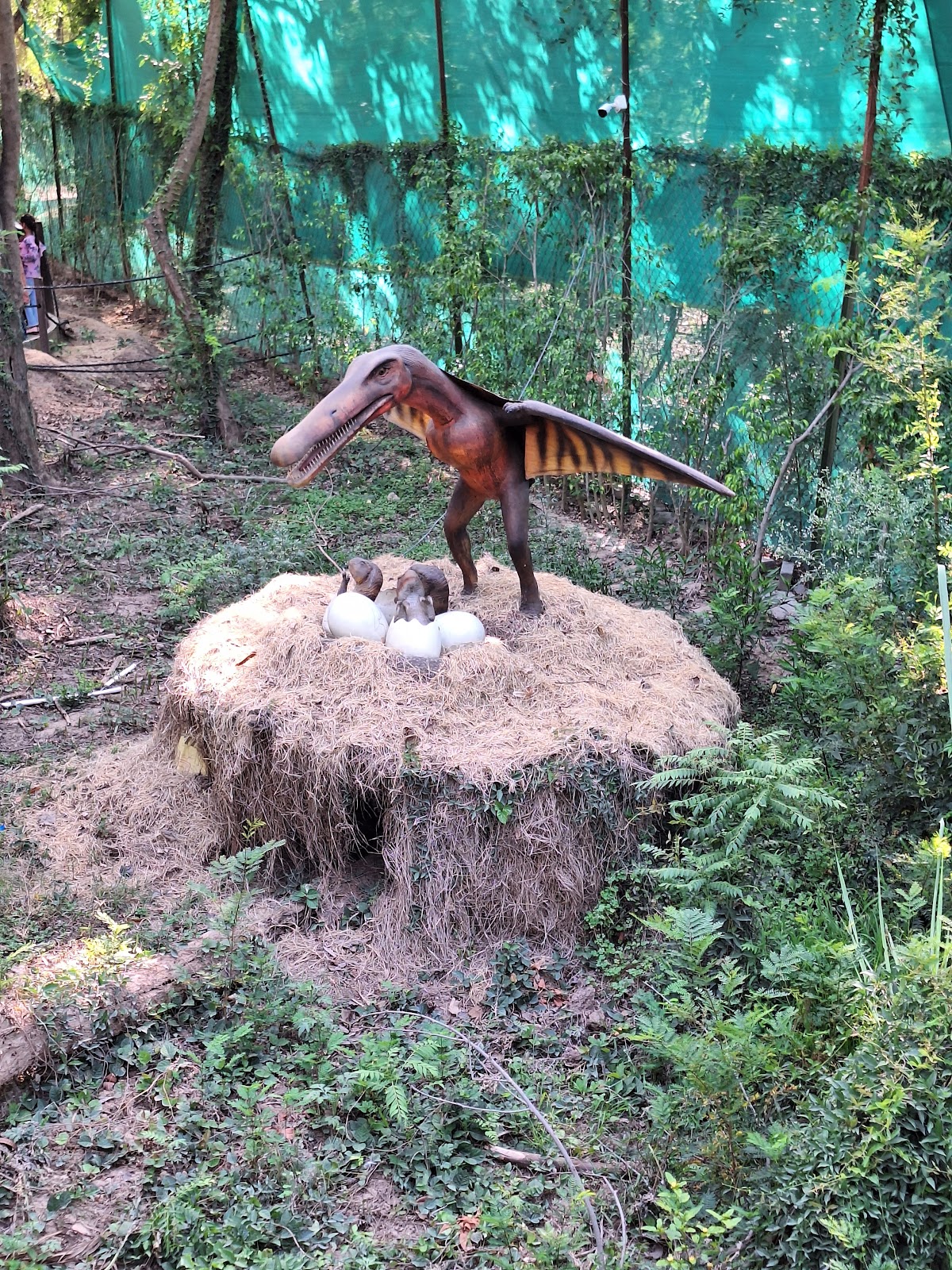 Chhatbir Zoological Park