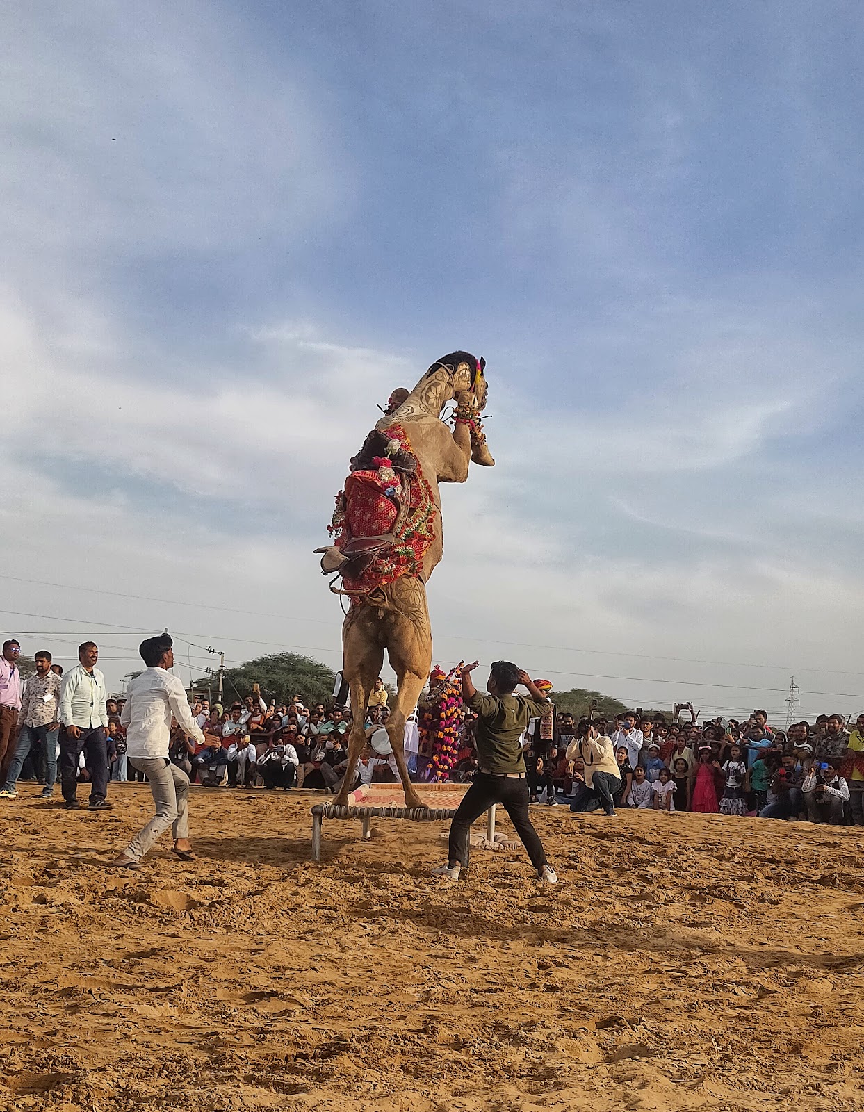 Bikaner Camel Festival