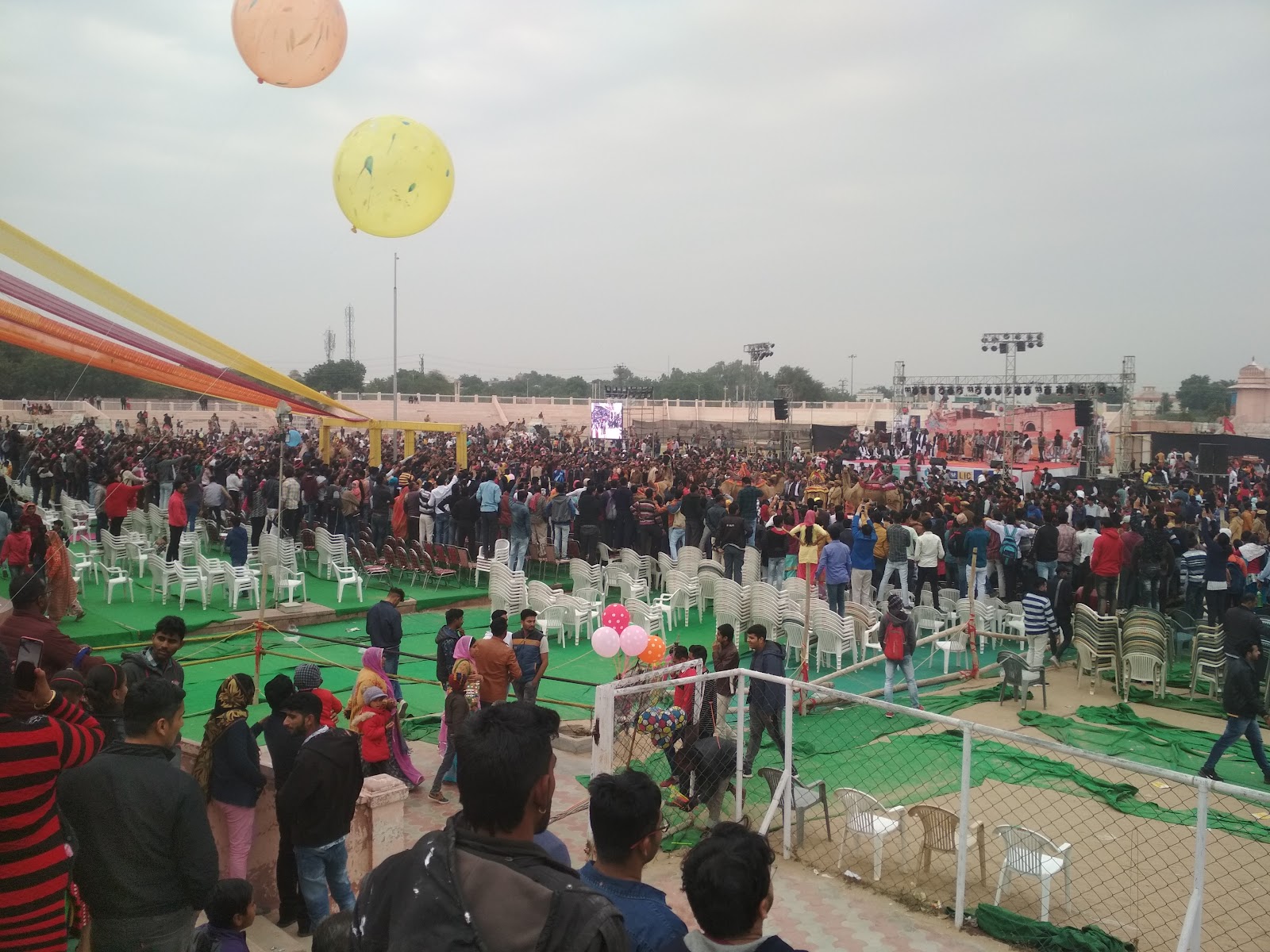 Bikaner Camel Festival