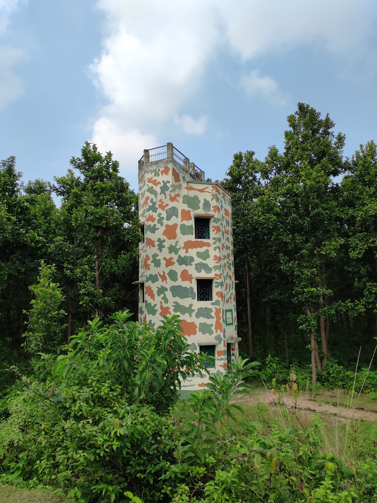 Joypur Forest