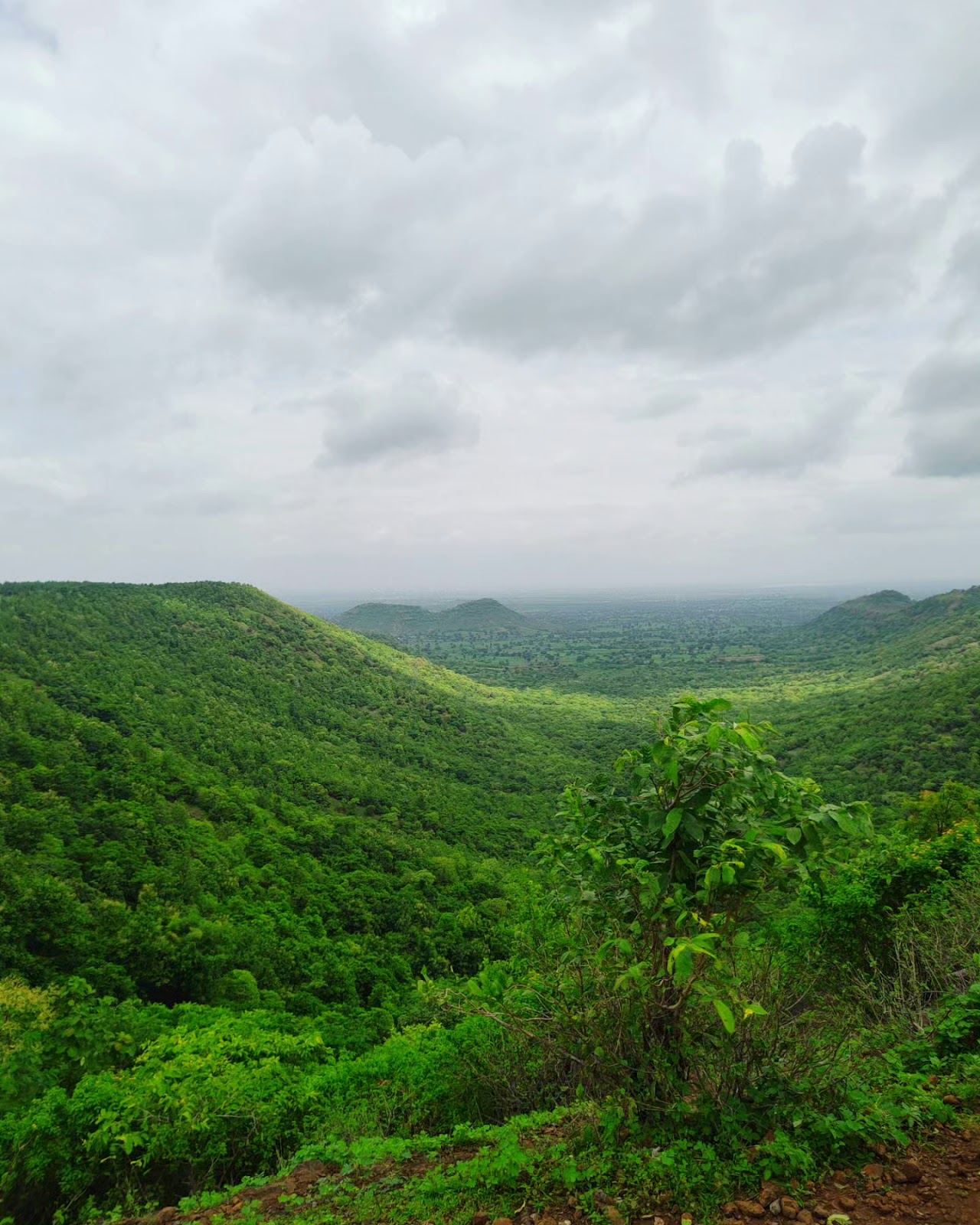 Sugarcane Fields Viewpoint
