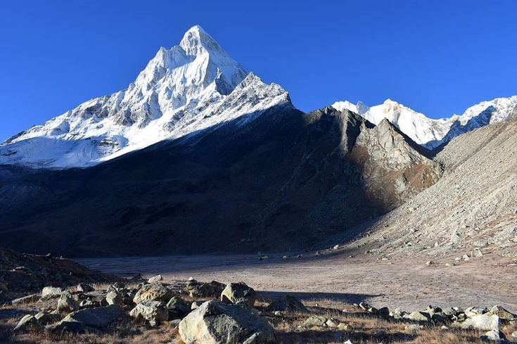 Gangotri National Park