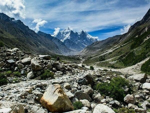 Gangotri National Park