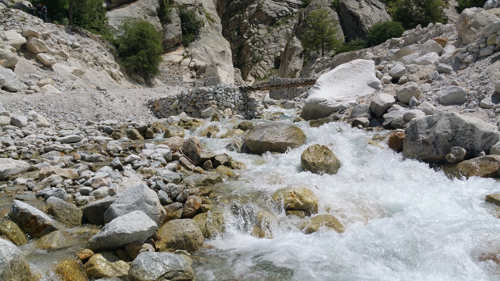 Gangotri National Park