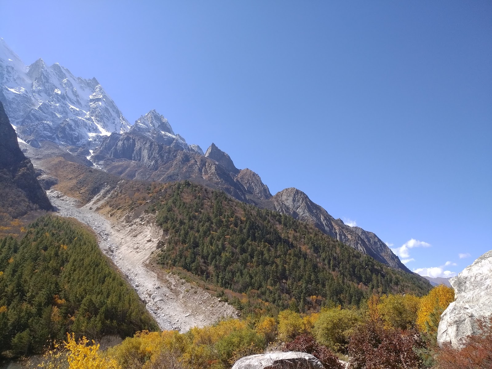 Gangotri National Park