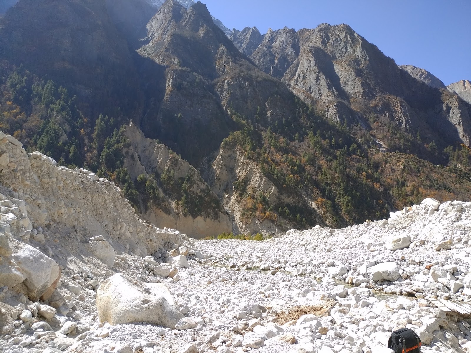 Gangotri National Park