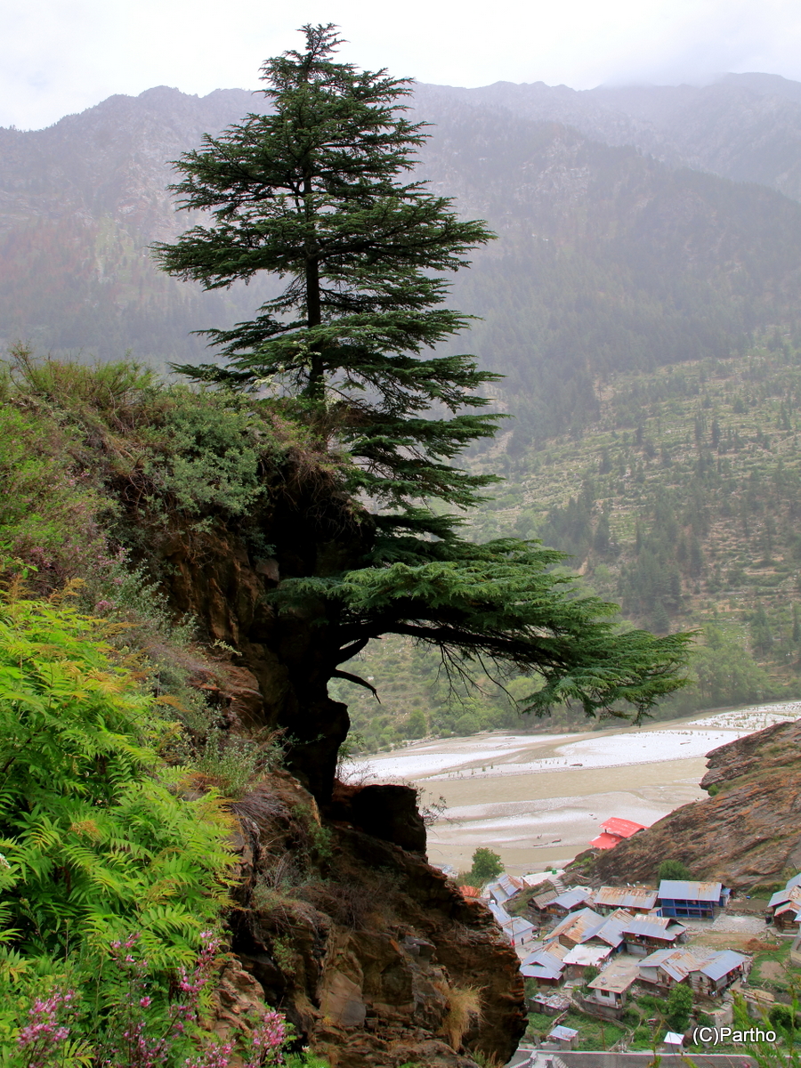 Uttarkashi