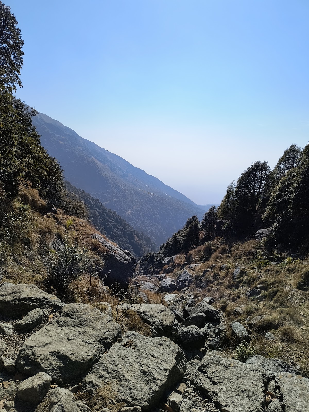 Trekking to Triund