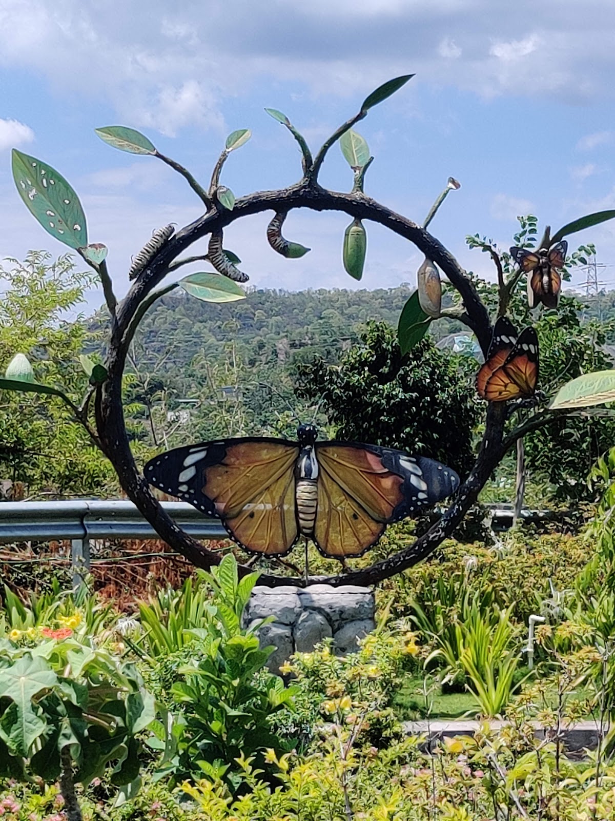 Butterfly Garden Dharampur Gujarat India