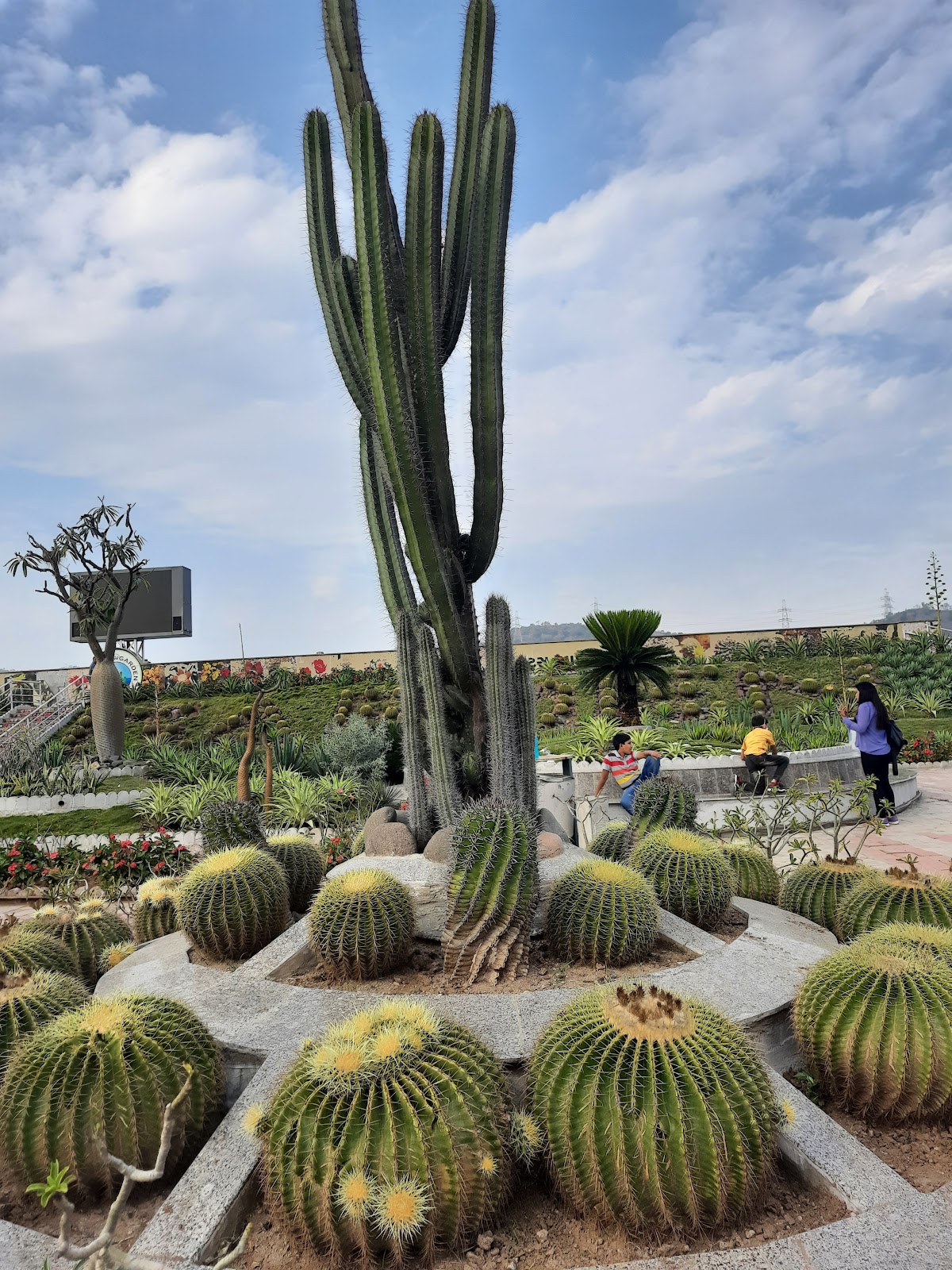 Butterfly Garden Dharampur Gujarat India