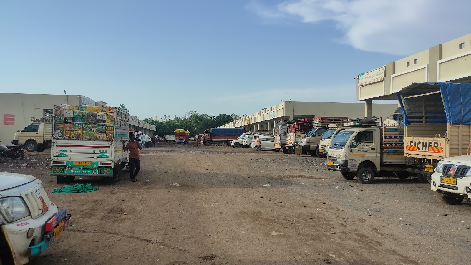Local Mango Orchards Dharampur Gujarat India