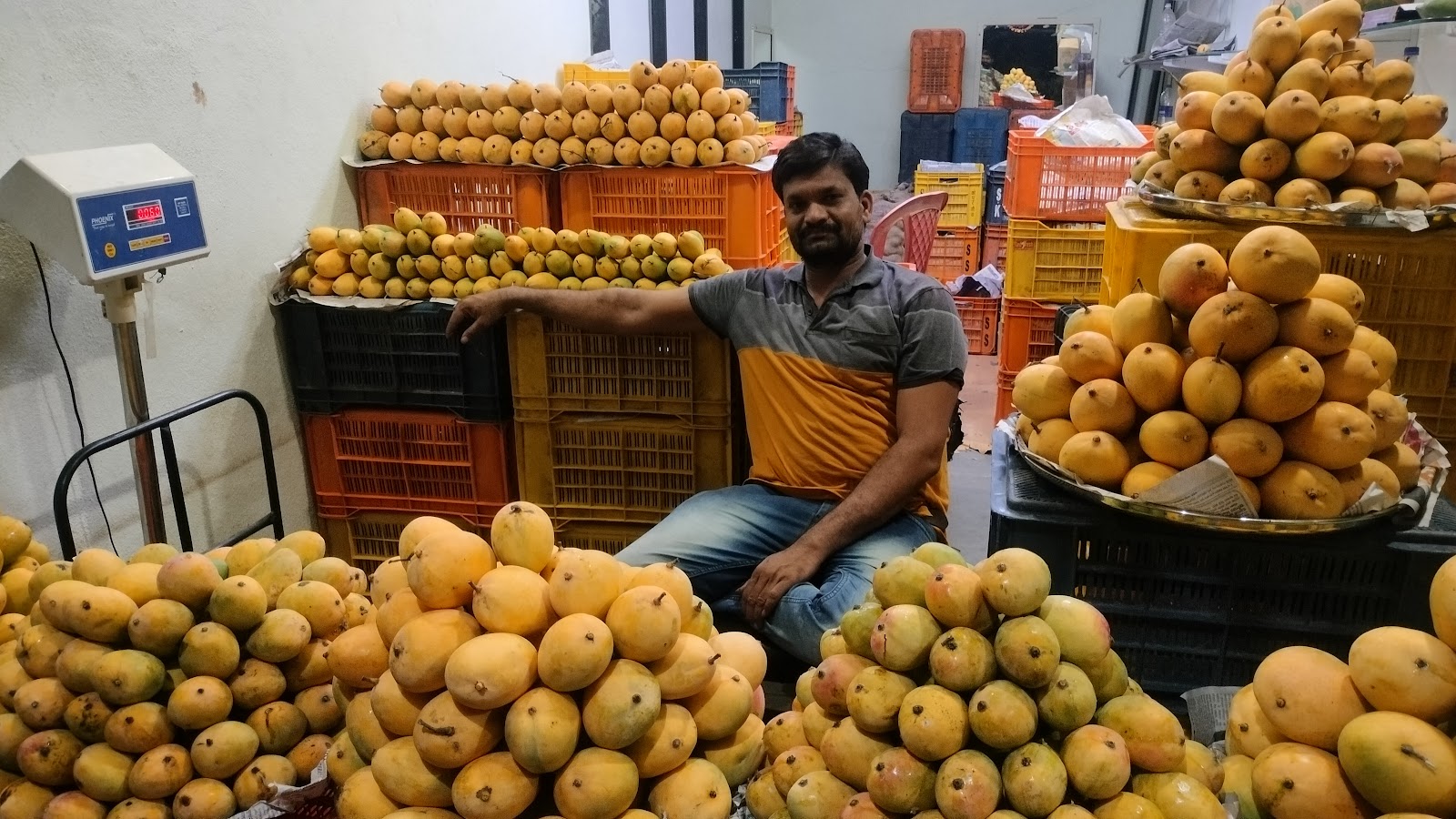 Local Mango Orchards Dharampur Gujarat India