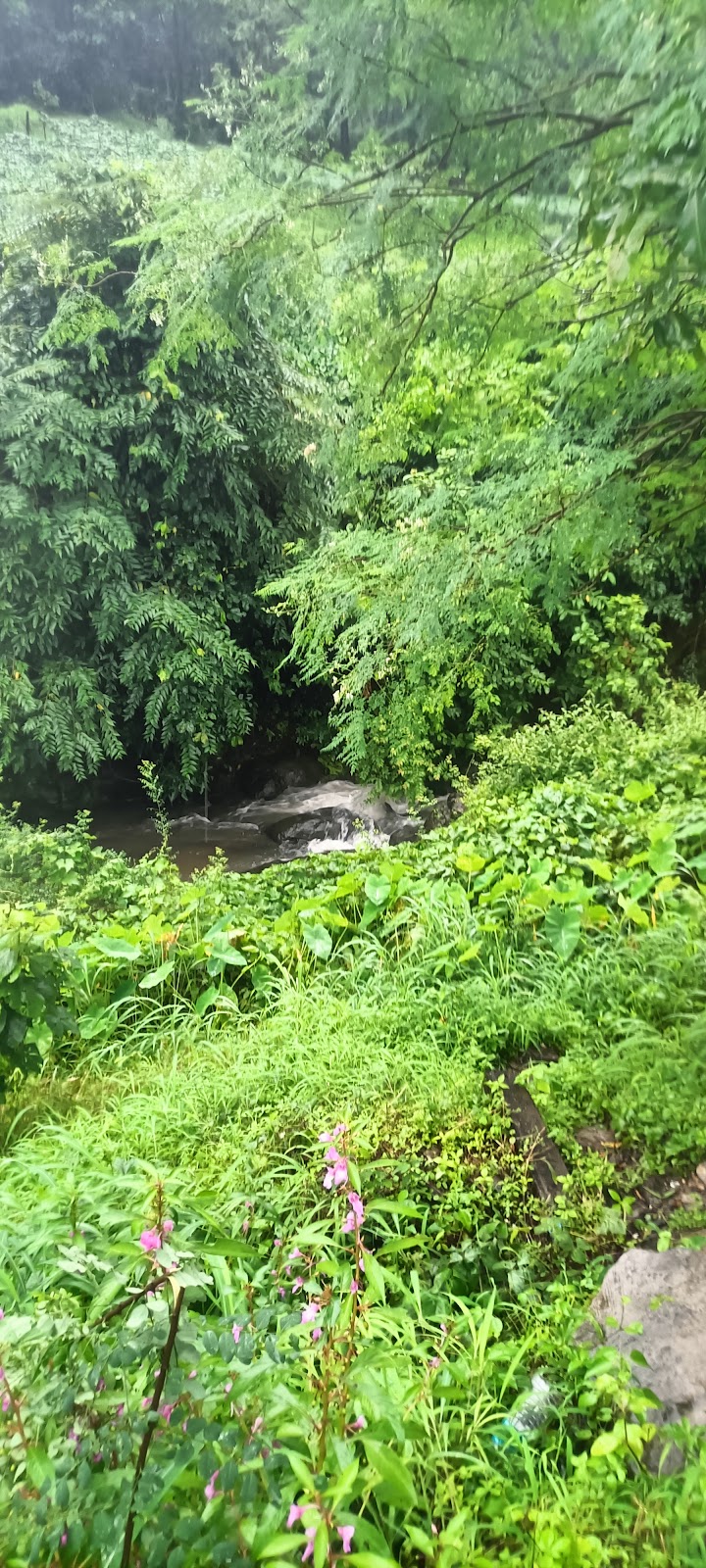 Riverfront Walk Dharampur Gujarat India
