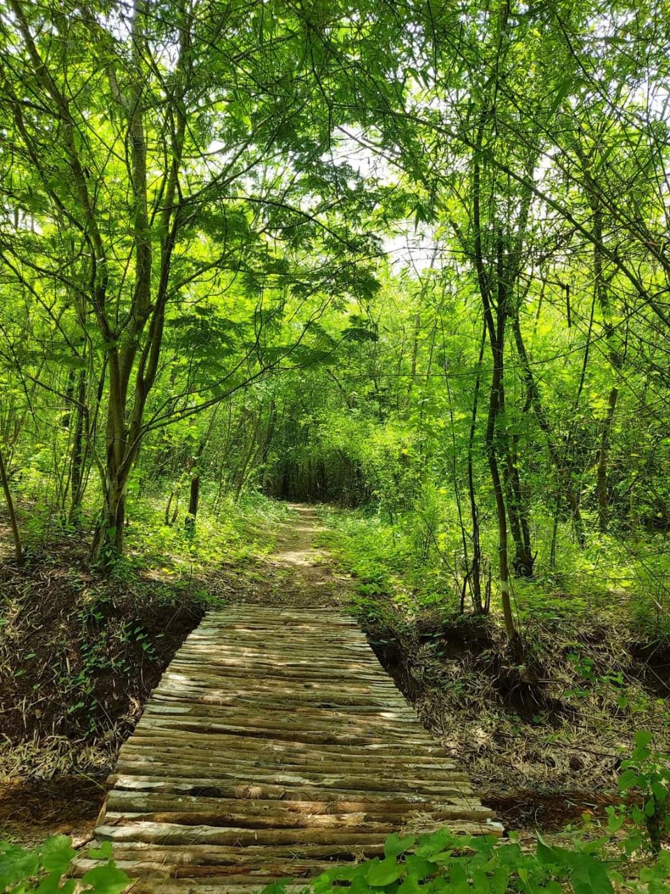 Vanashree Eco Park Dharampur Gujarat India