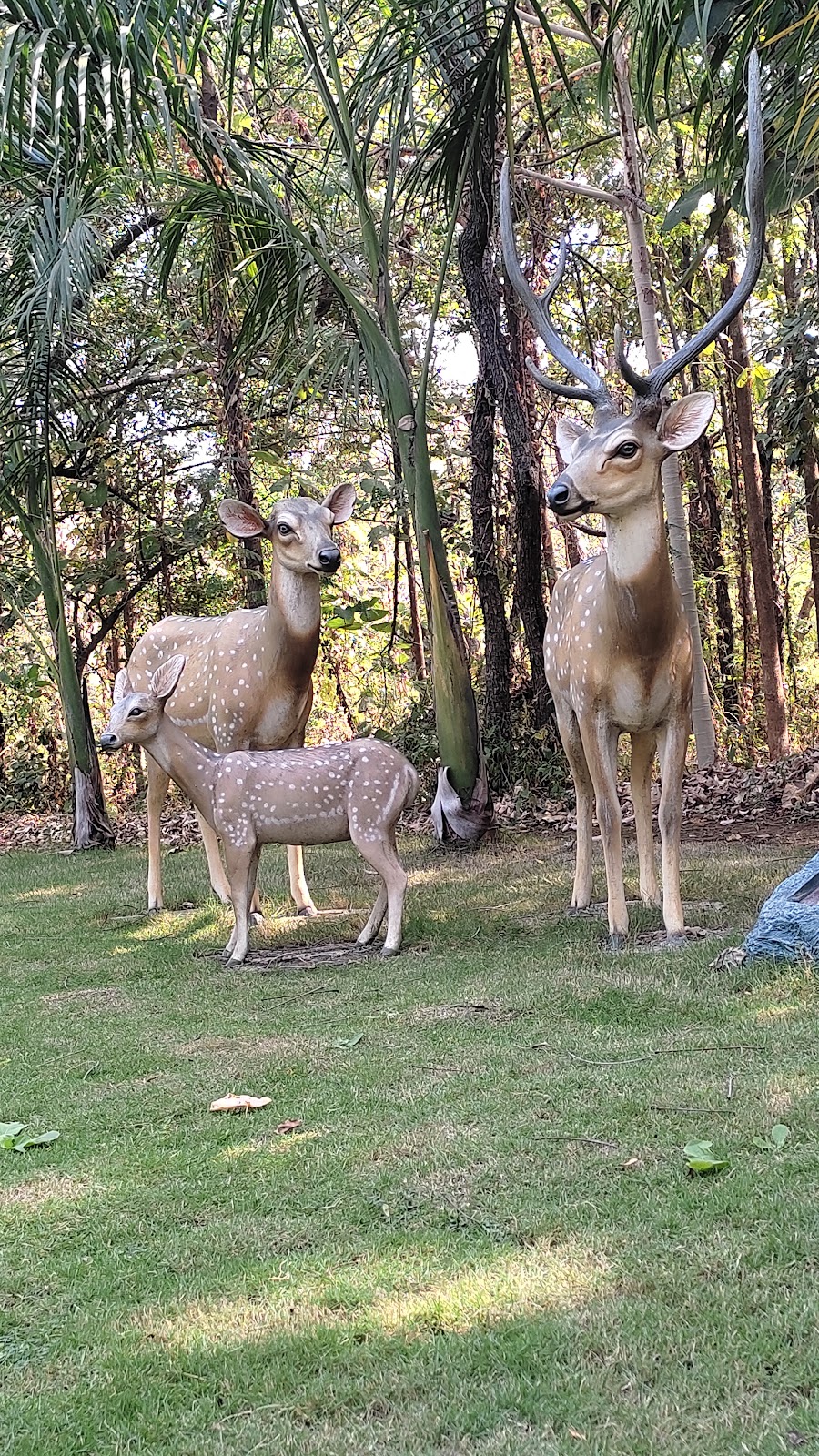 Vanashree Eco Park Dharampur Gujarat India