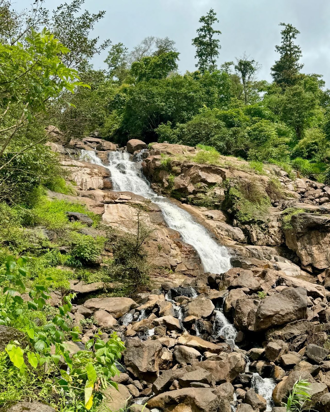 Wilson Hills Dharampur Gujarat India