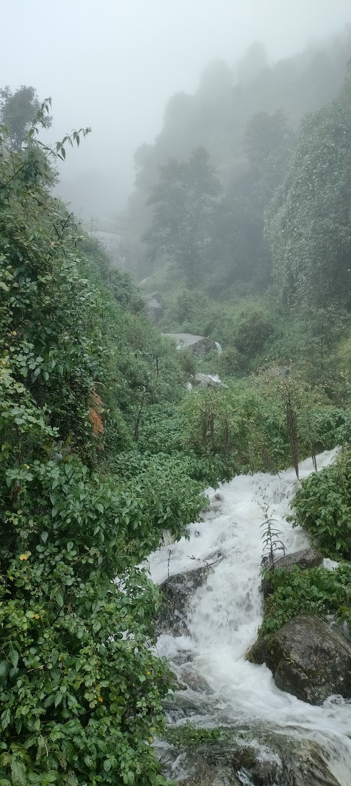 Dharamkot Village