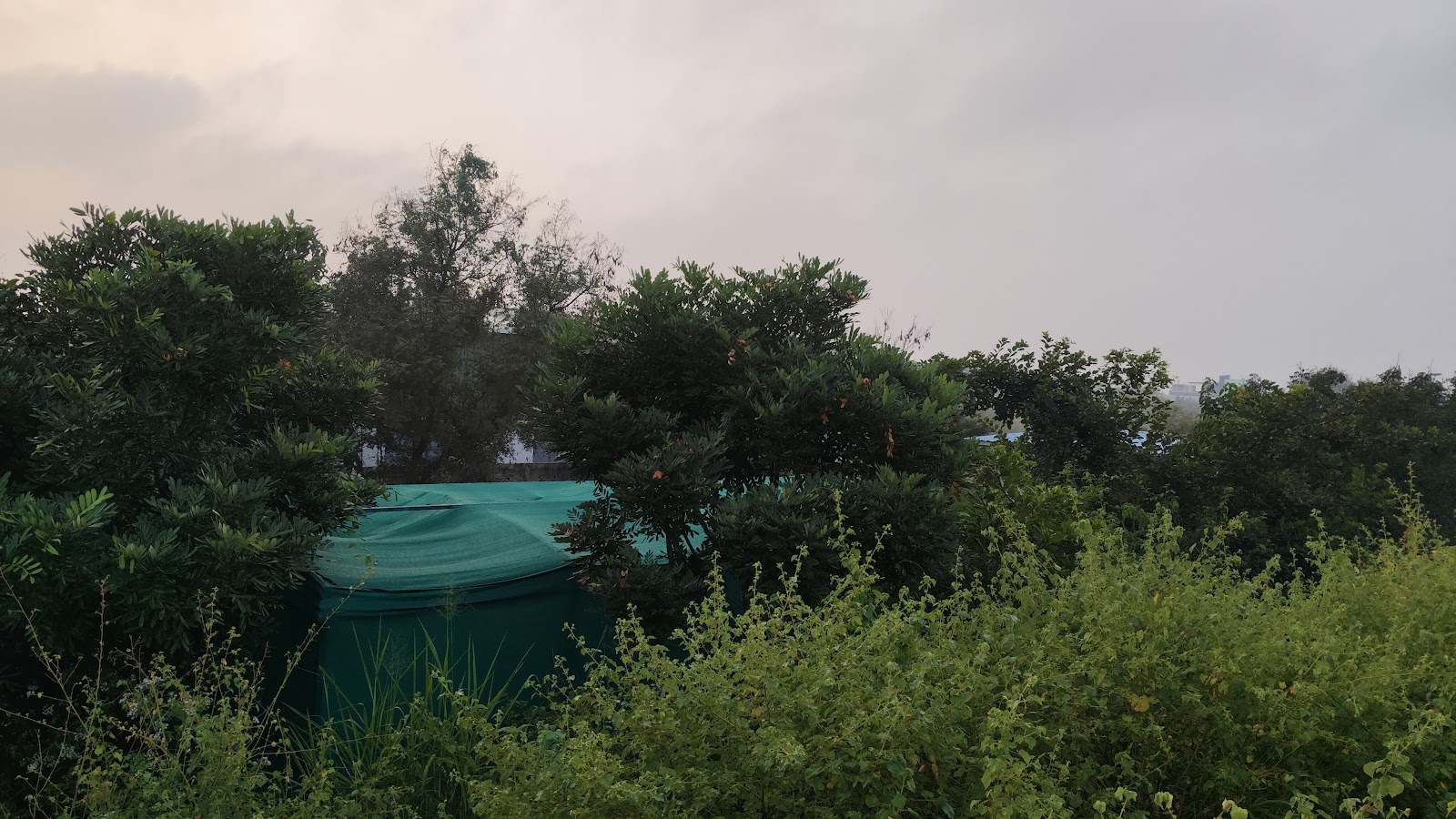 Local Cultural Center