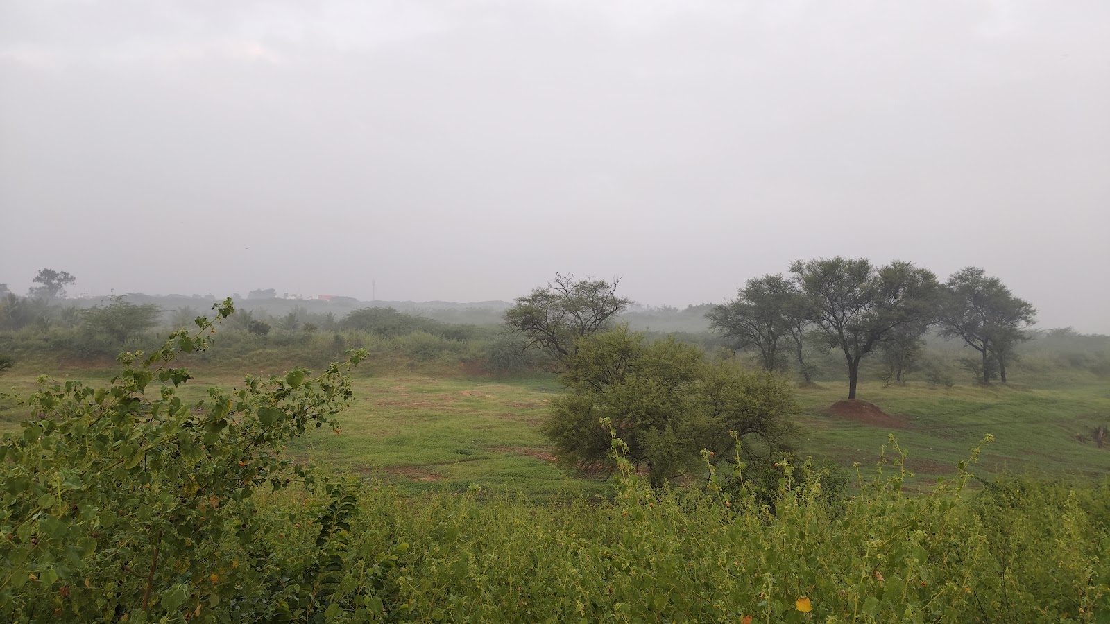 Local Cultural Center