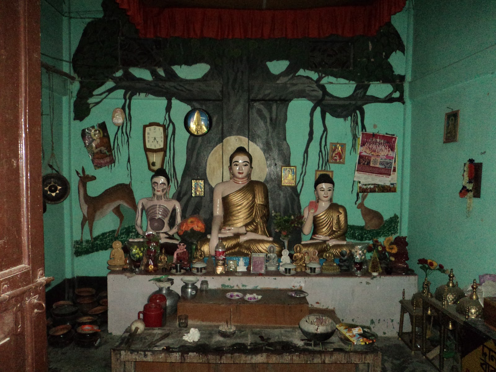 Buddha Vihar