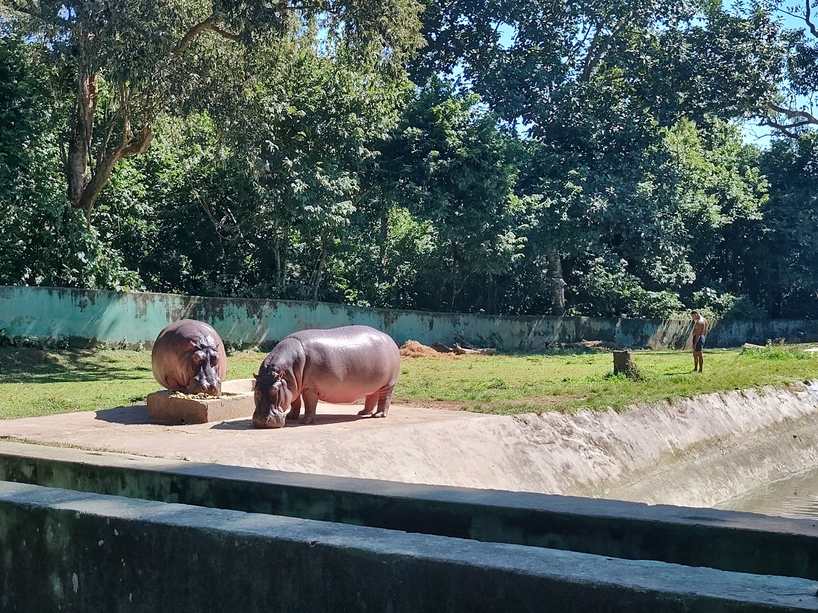 Sepahijala Wildlife Sanctuary