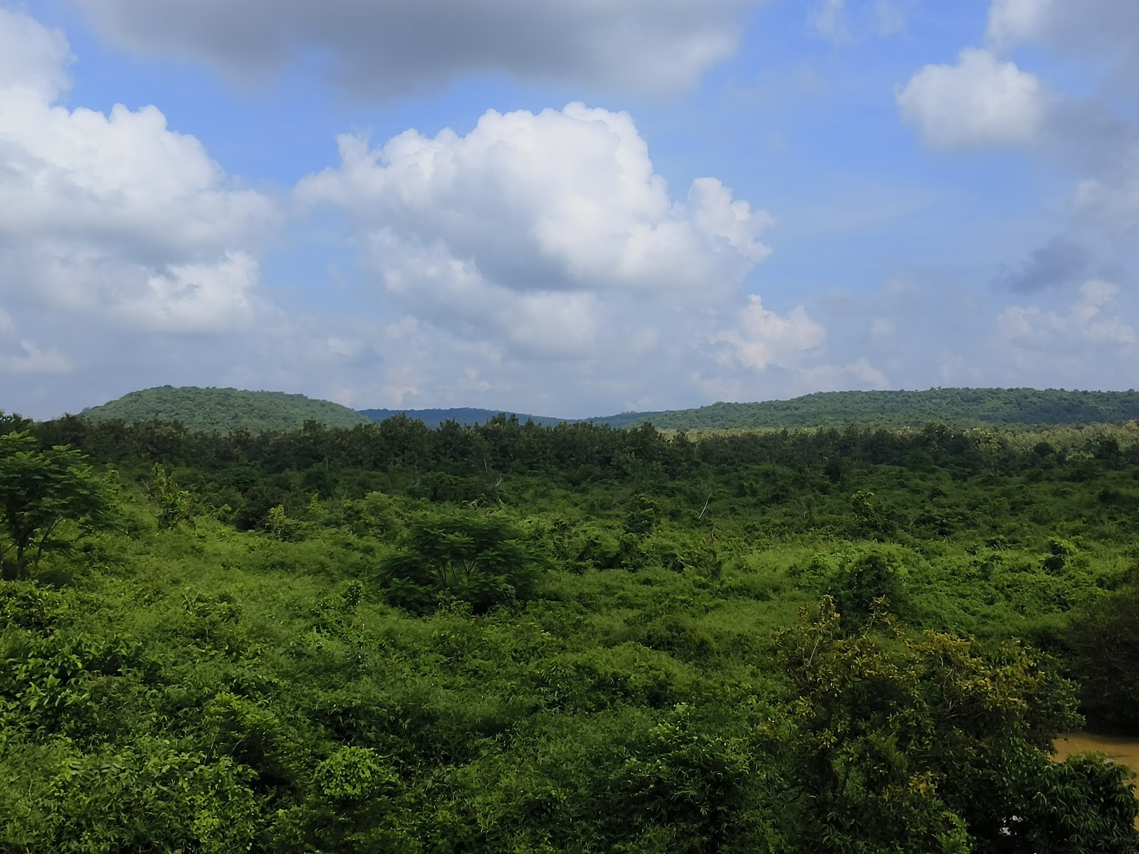 Chandaka-Dampada Wildlife Sanctuary