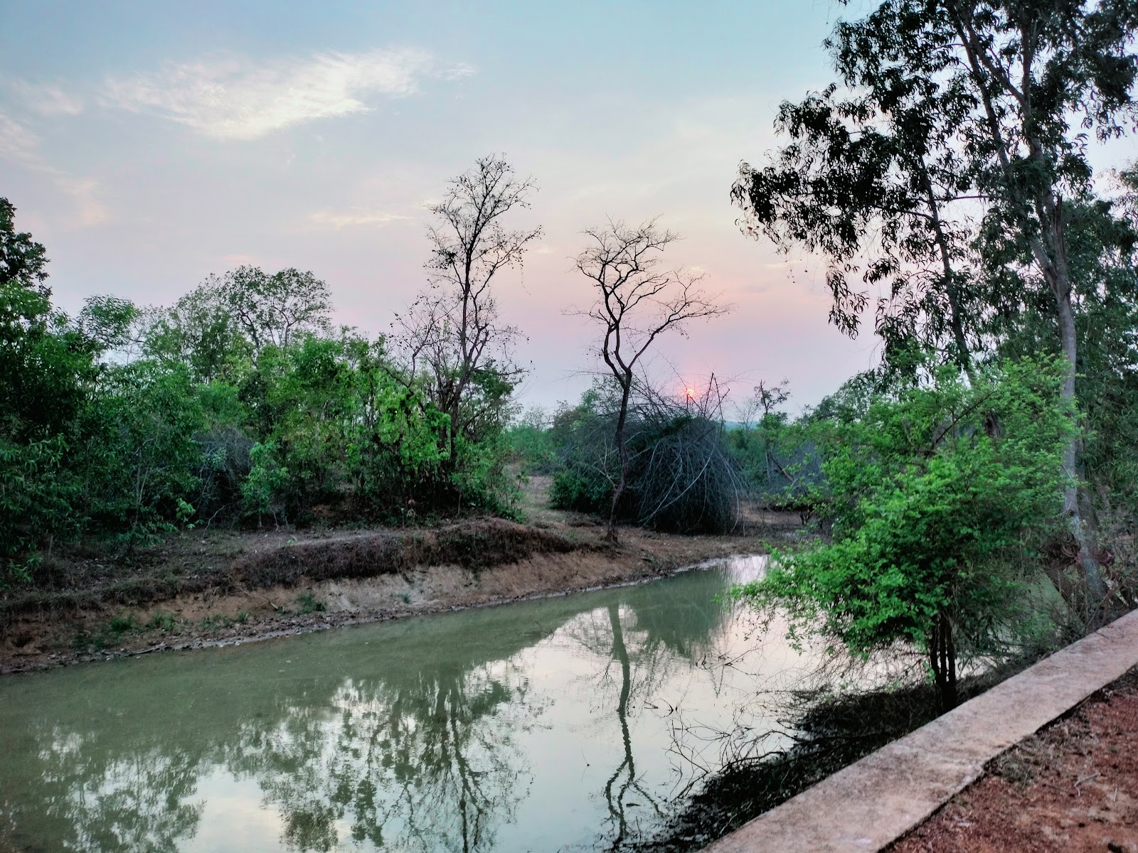 Chandaka-Dampada Wildlife Sanctuary
