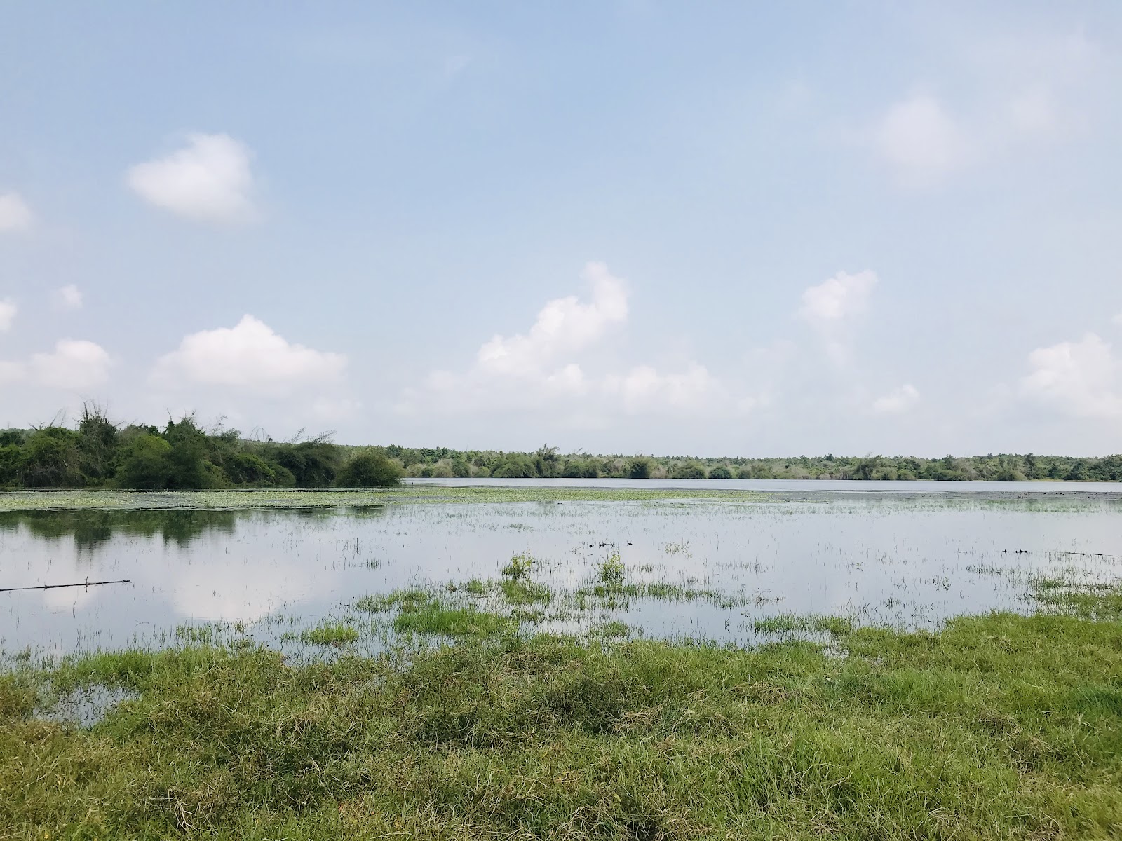 Chandaka-Dampada Wildlife Sanctuary