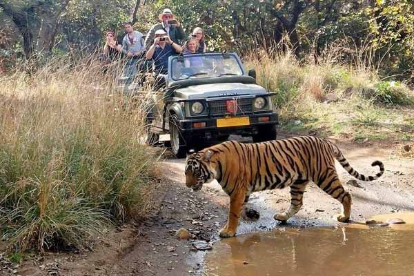 Ranthambore National Park