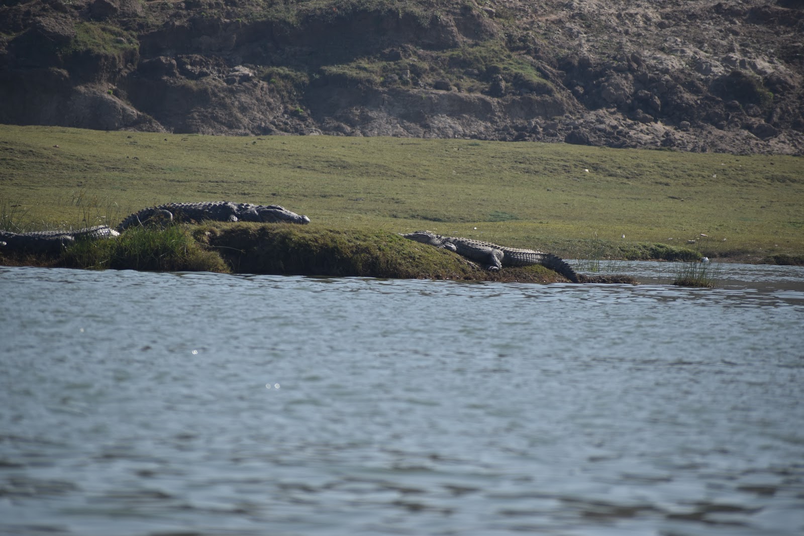 Chambal Wildlife Sanctuary