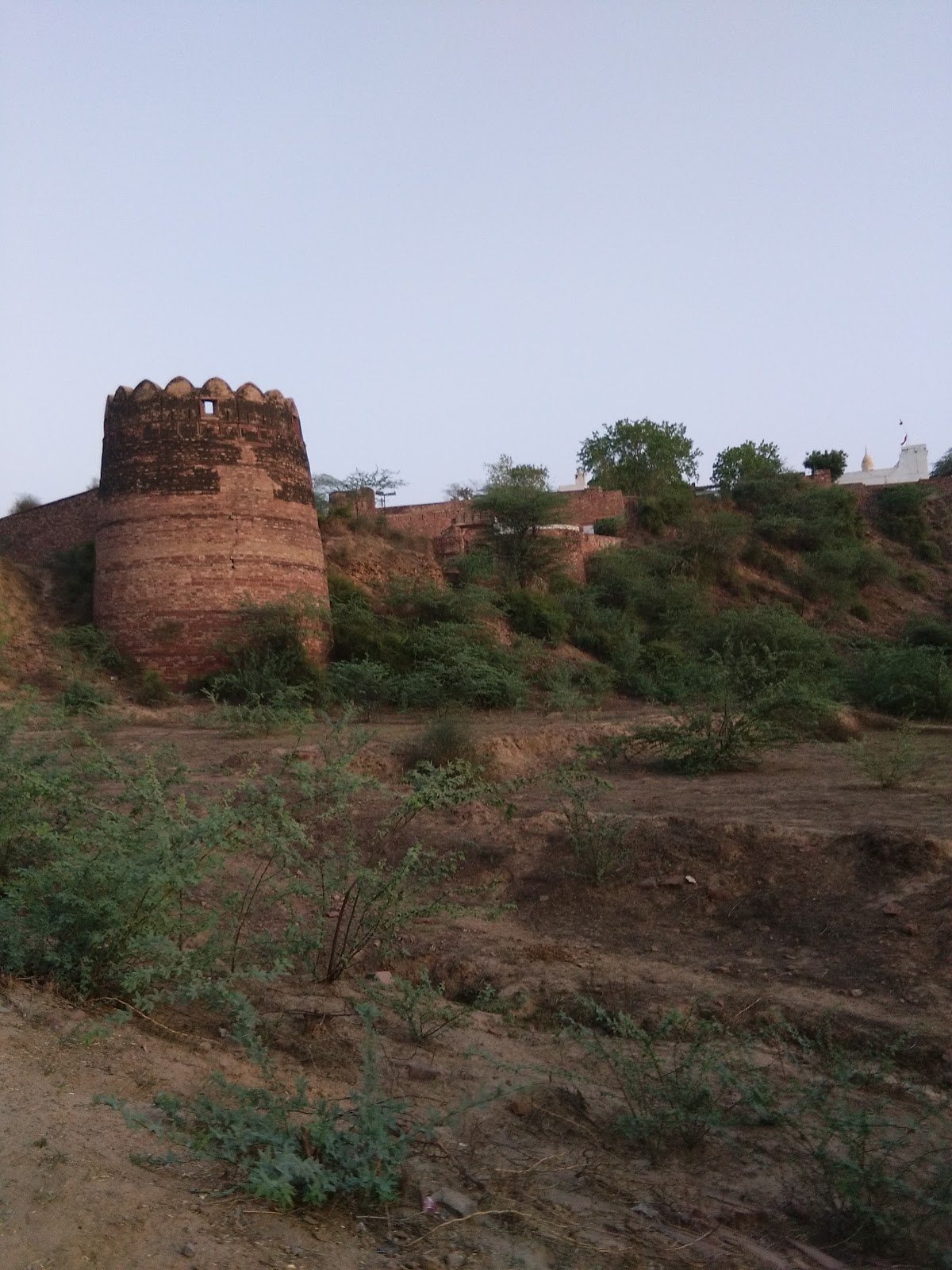 Ghaghara Fort