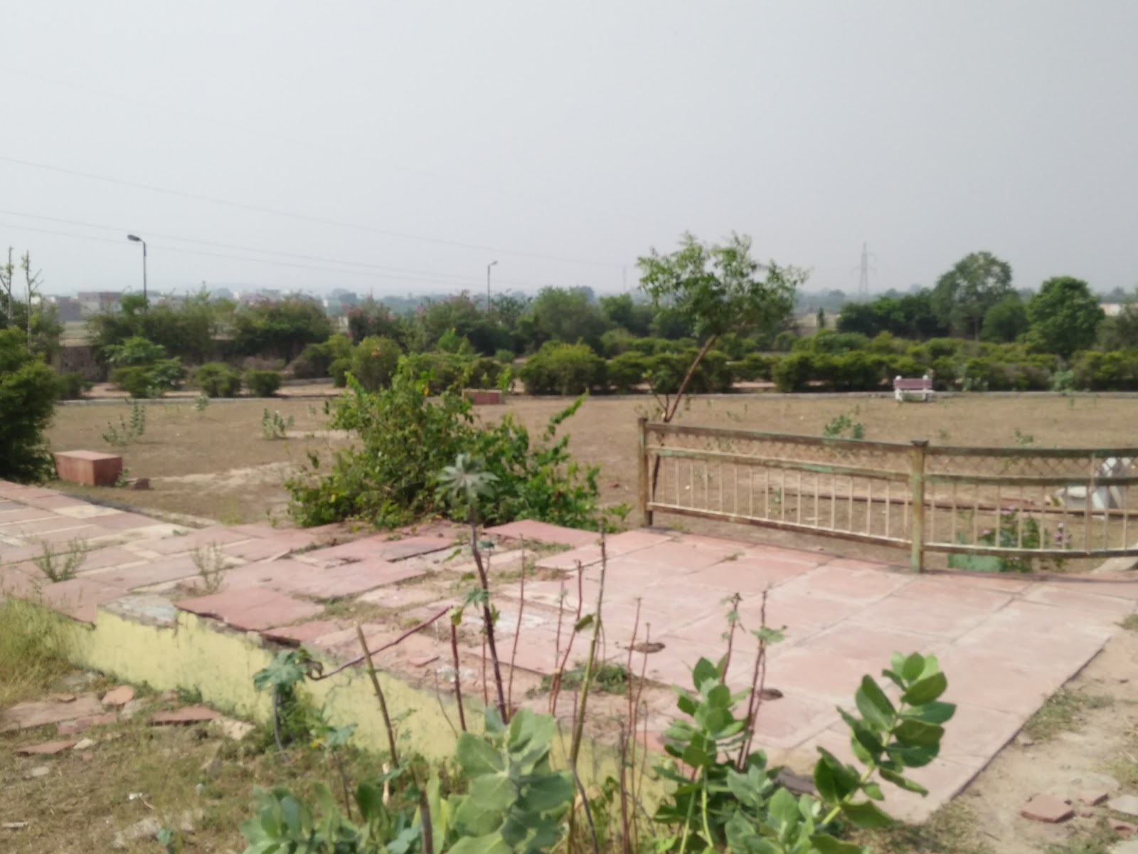 Photography at Chambal River