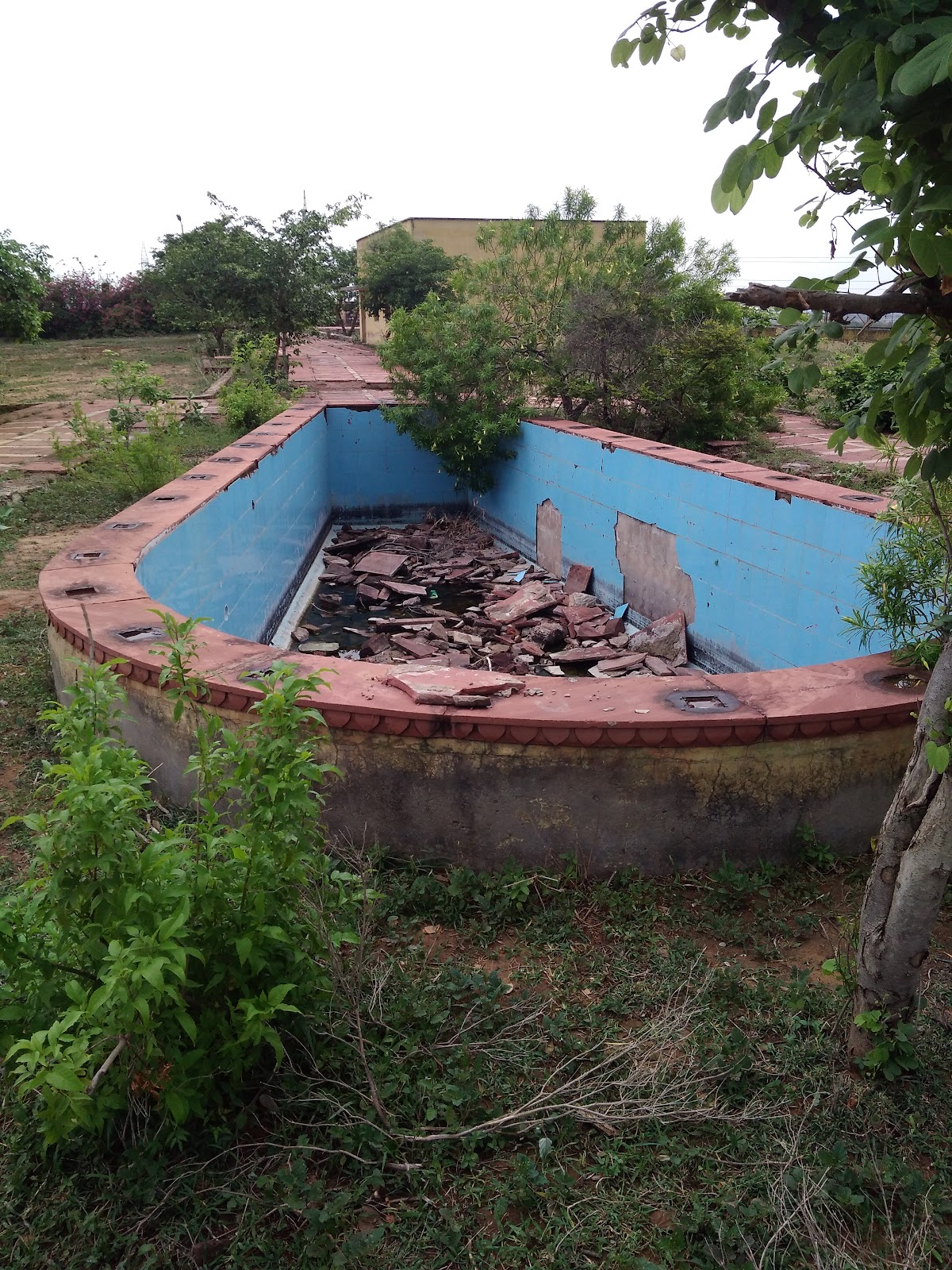 Photography at Chambal River