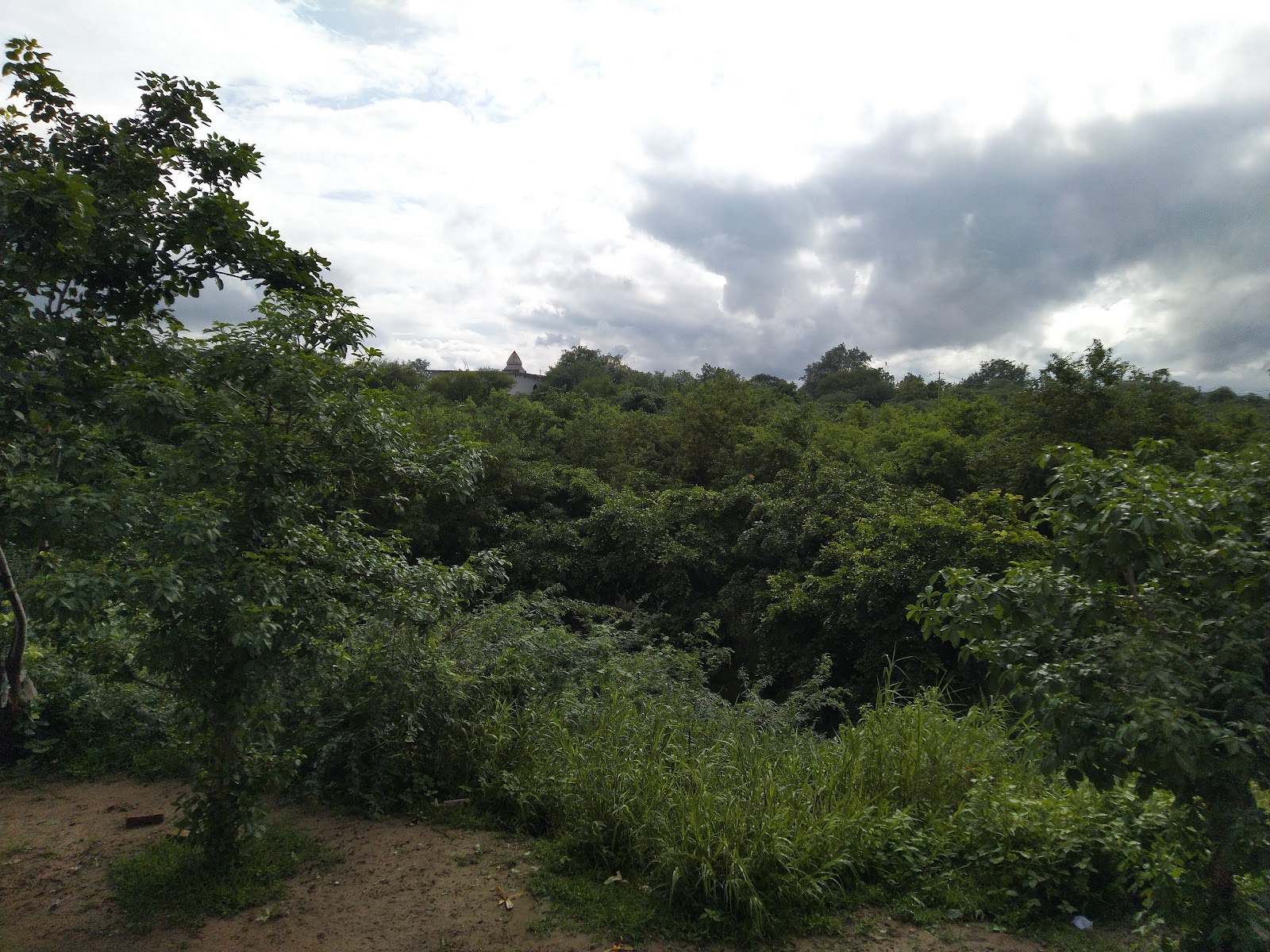 Photography at Chambal River