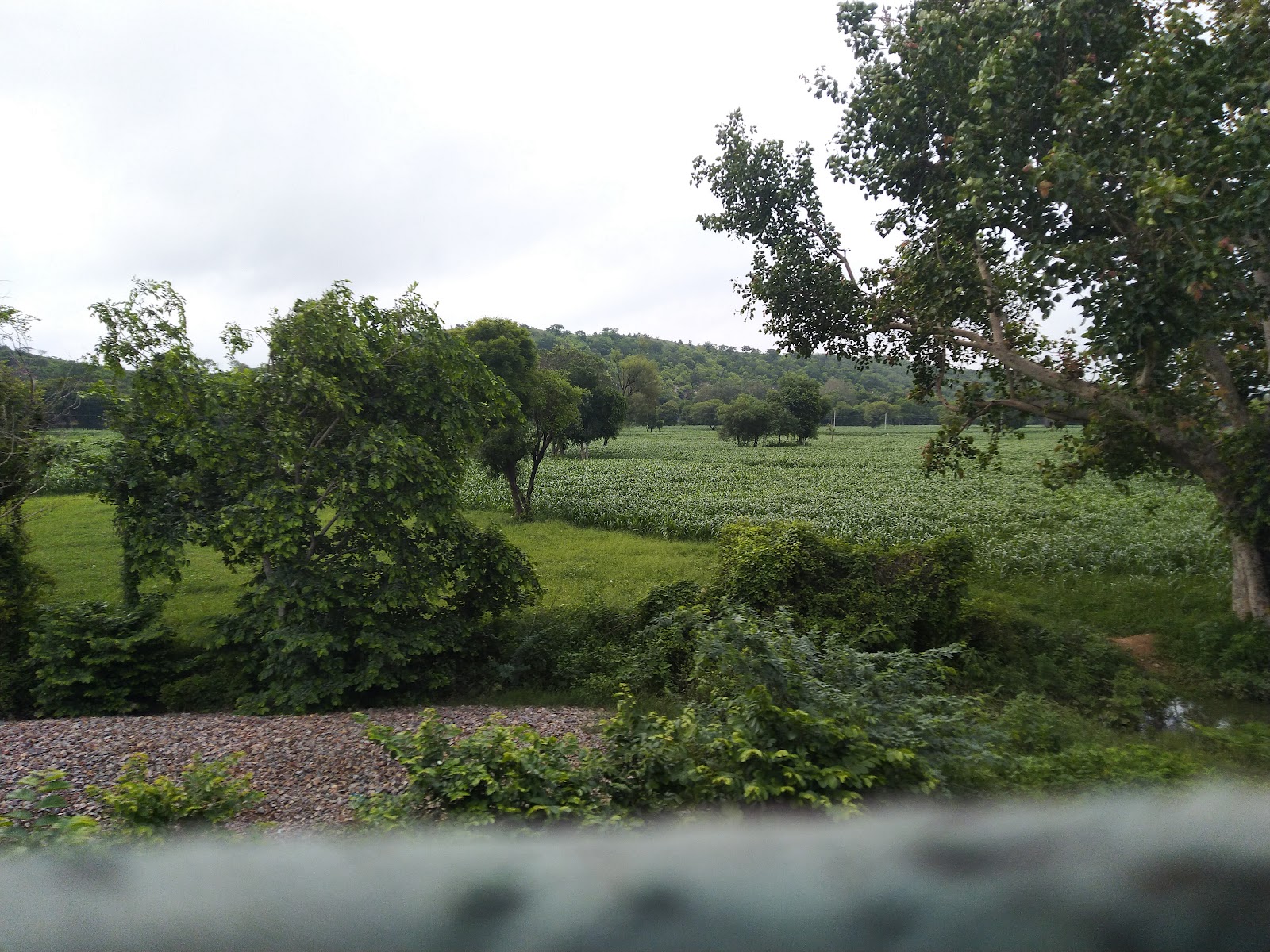 Photography at Chambal River