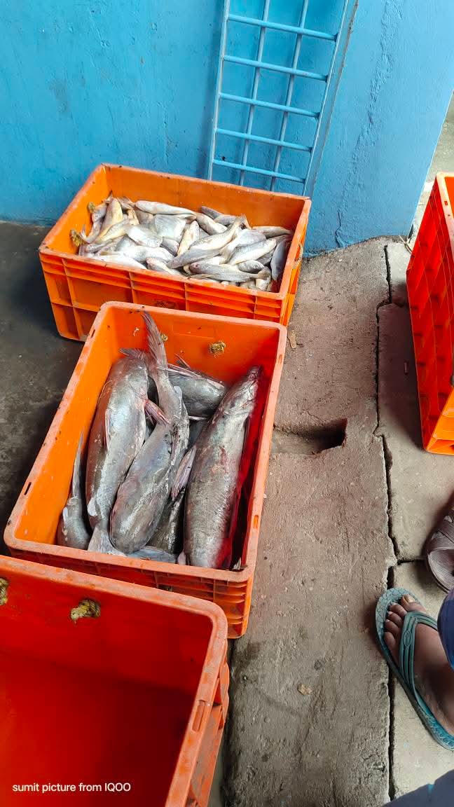 Local Markets