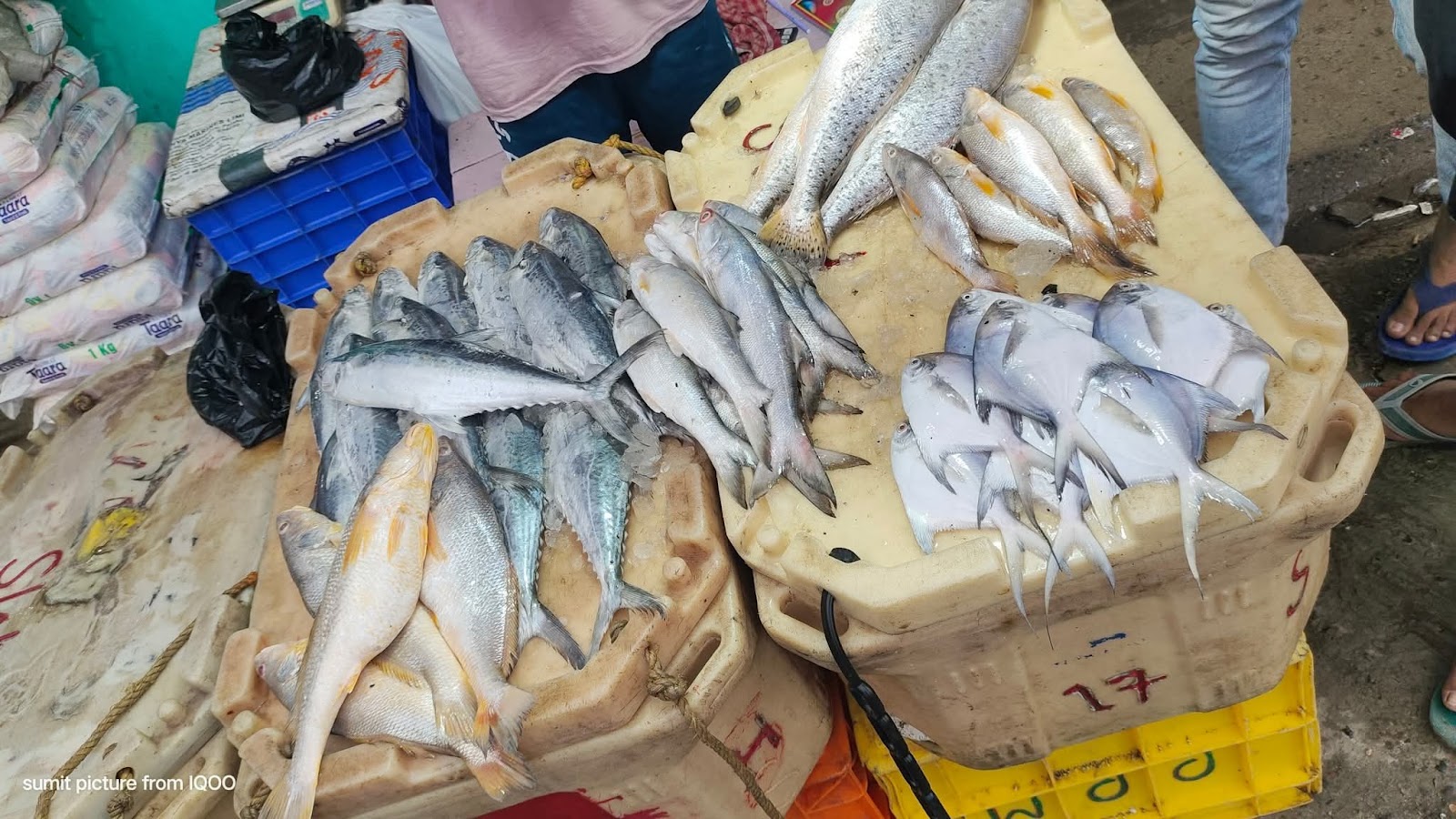 Local Markets