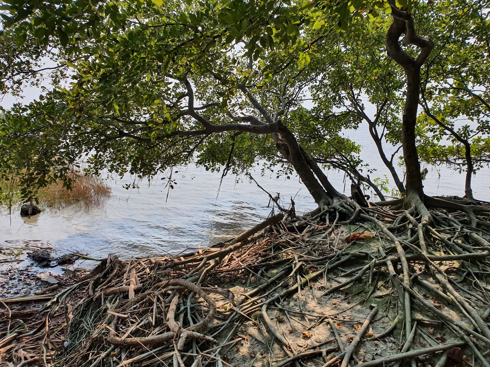 Diamond Harbour Fort